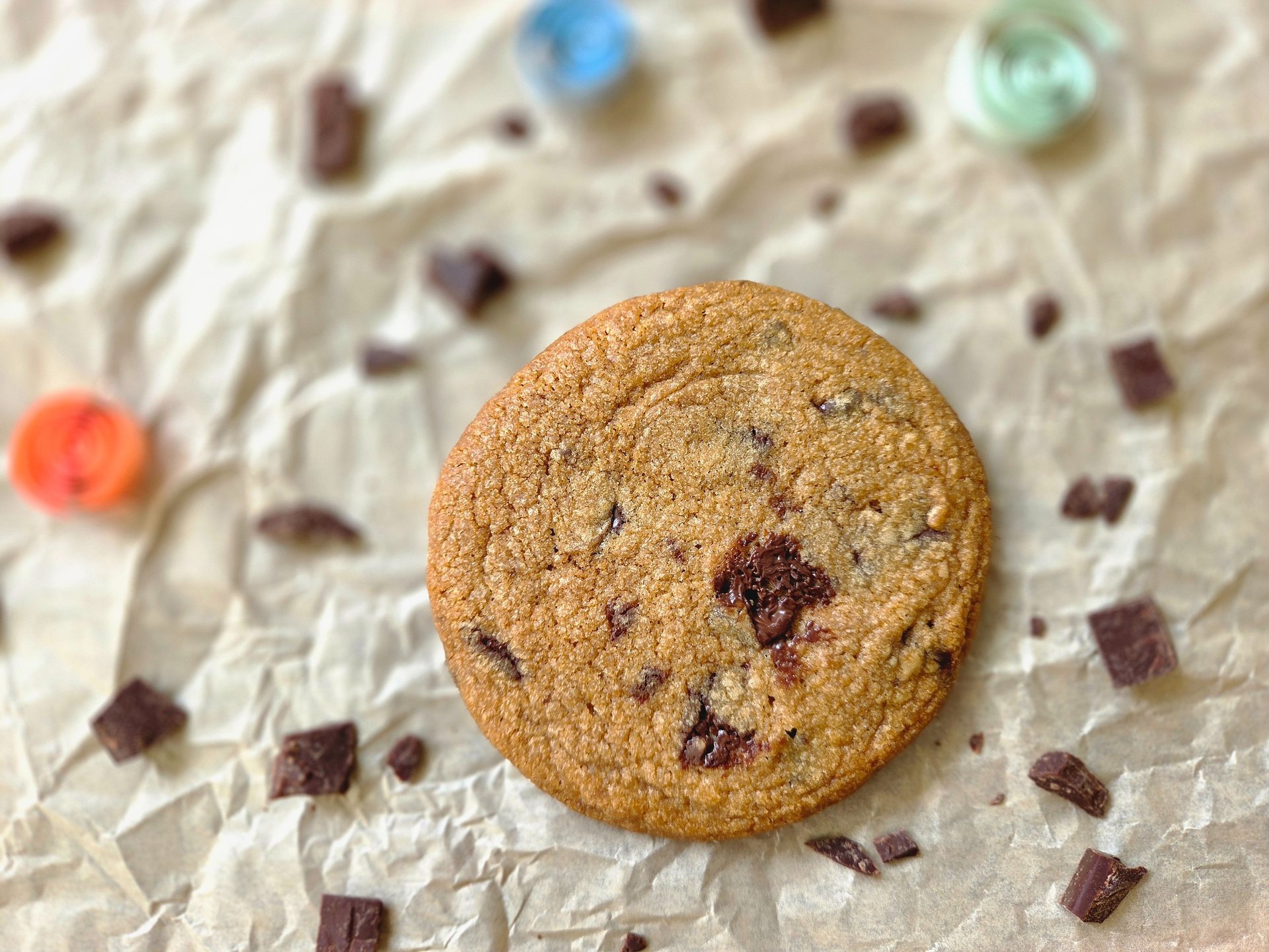 woman holding dried flower