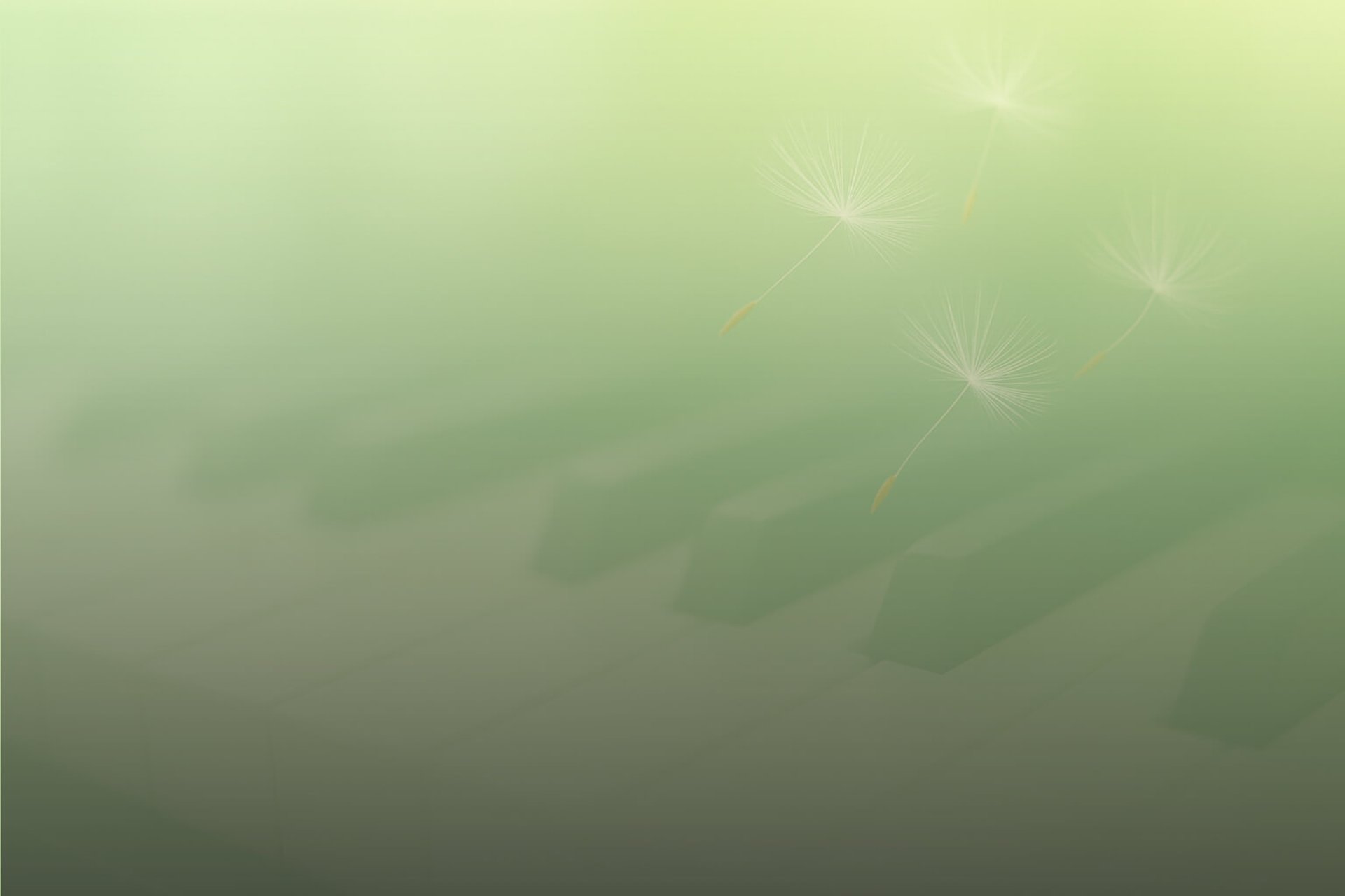Klaviertasten mit fliegenden Schirmchen einer Pusteblume vor grünem Hintergrund