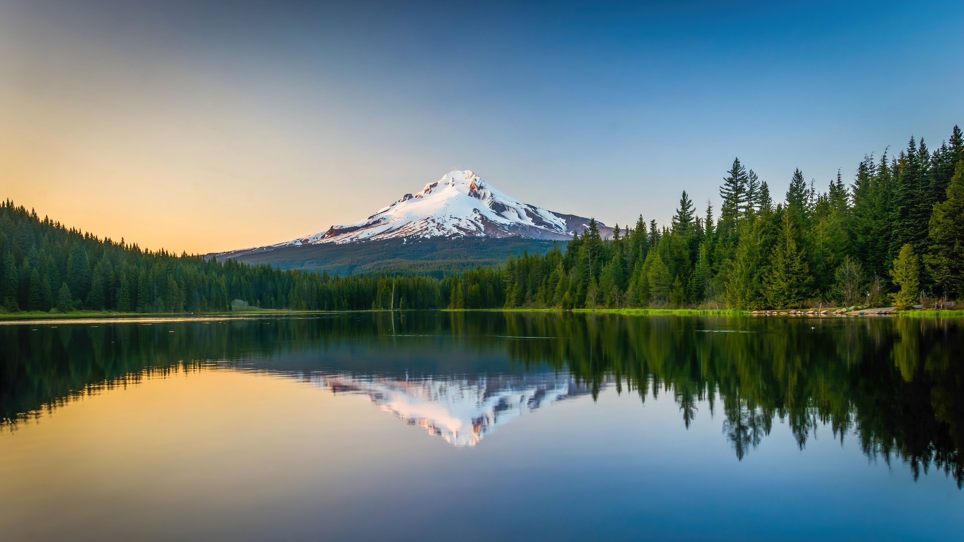 woman wearing yellow long-sleeved dress under white clouds and blue sky during daytime