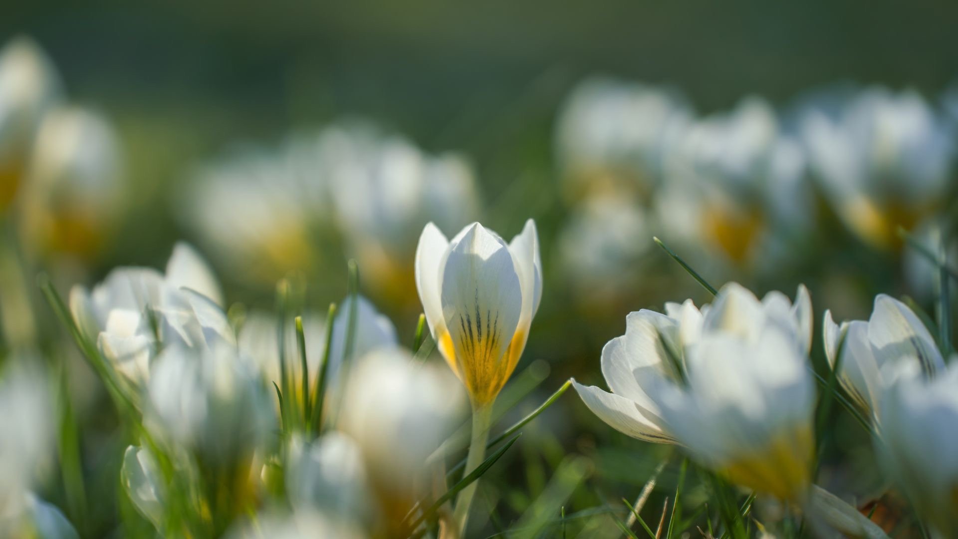 multicolored graffiti painting