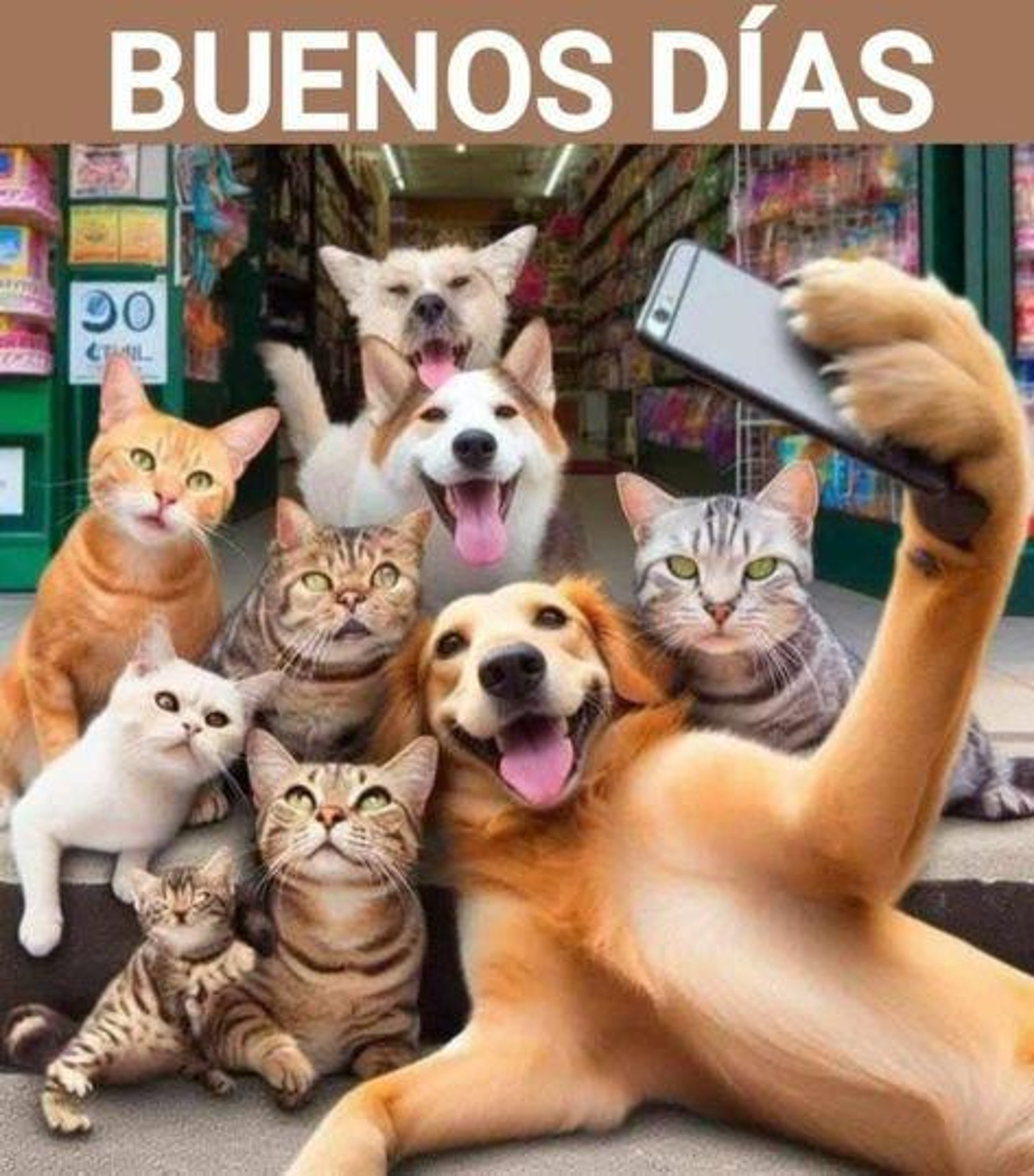 woman wearing yellow long-sleeved dress under white clouds and blue sky during daytime