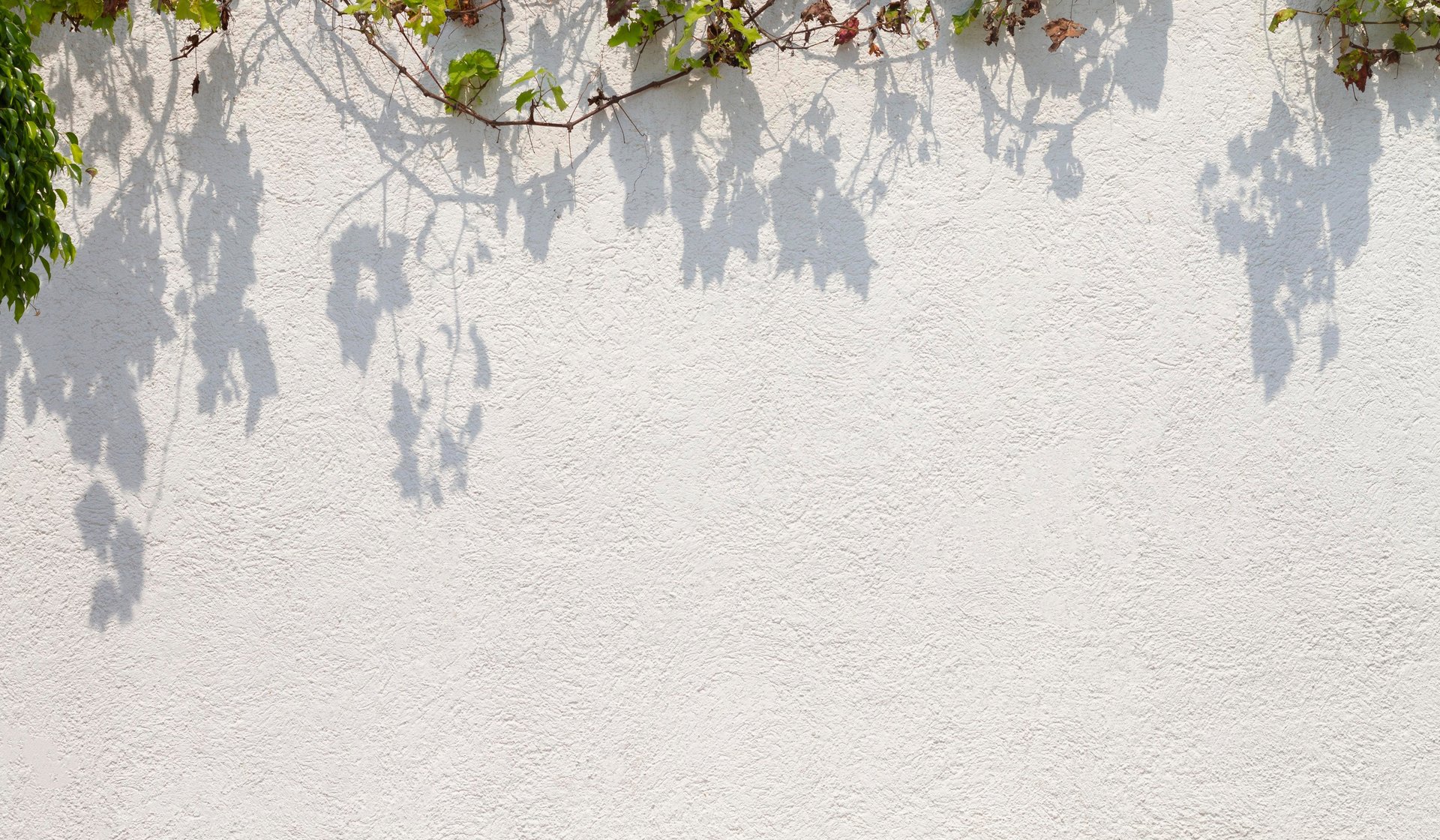 a close up of a black and brown abstract painting