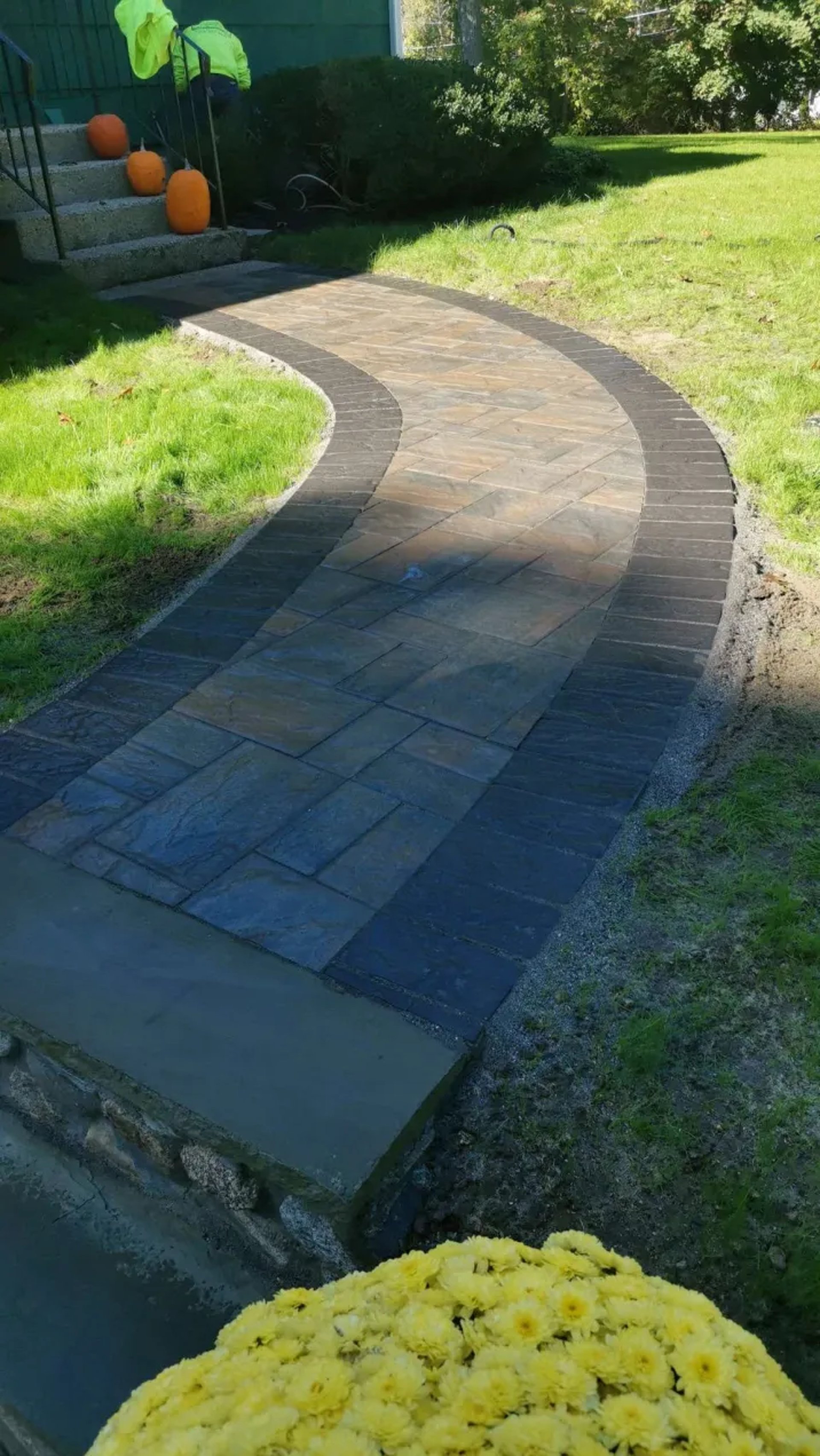 gray concrete road between green and brown trees during daytime