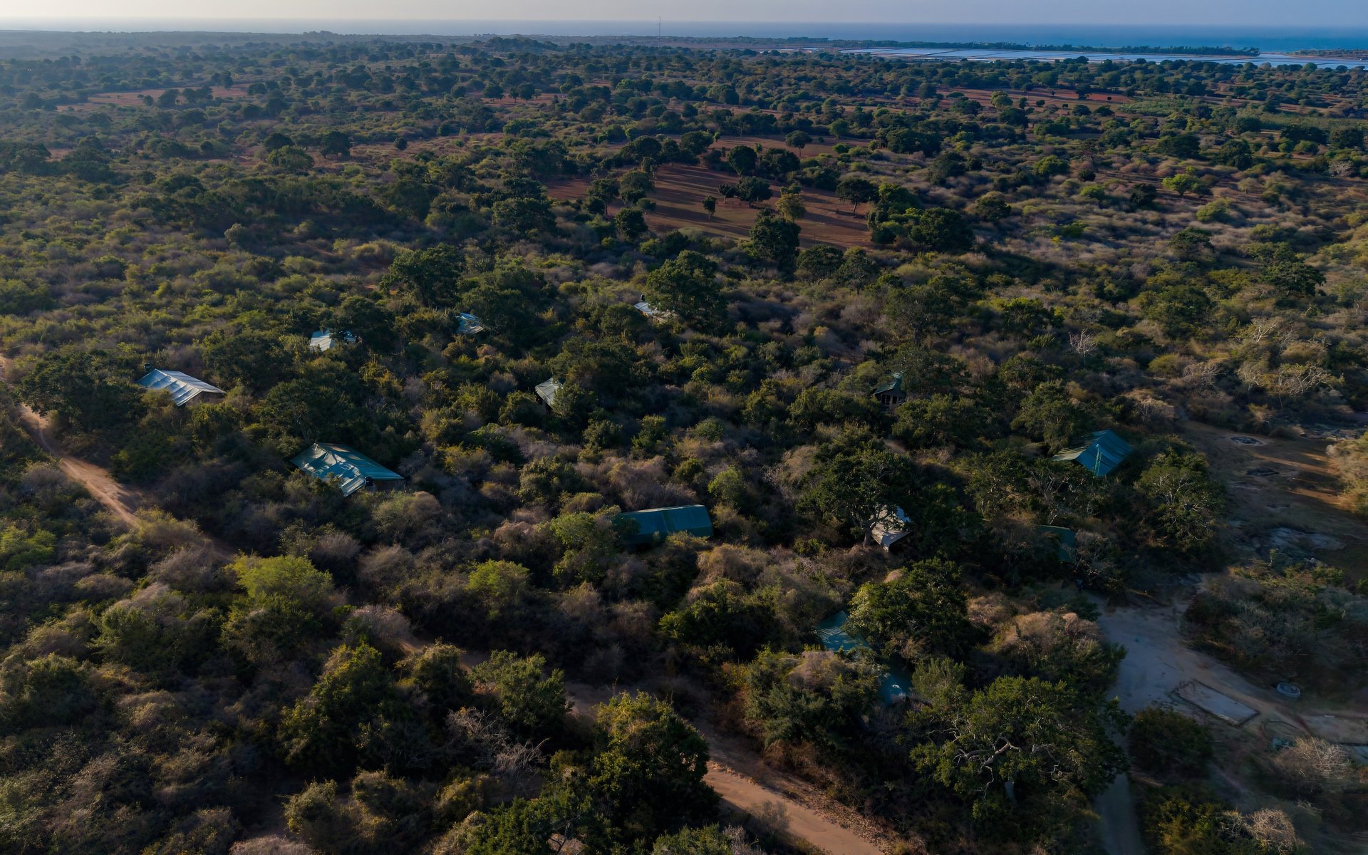 an abstract photo of a curved building with a blue sky in the background