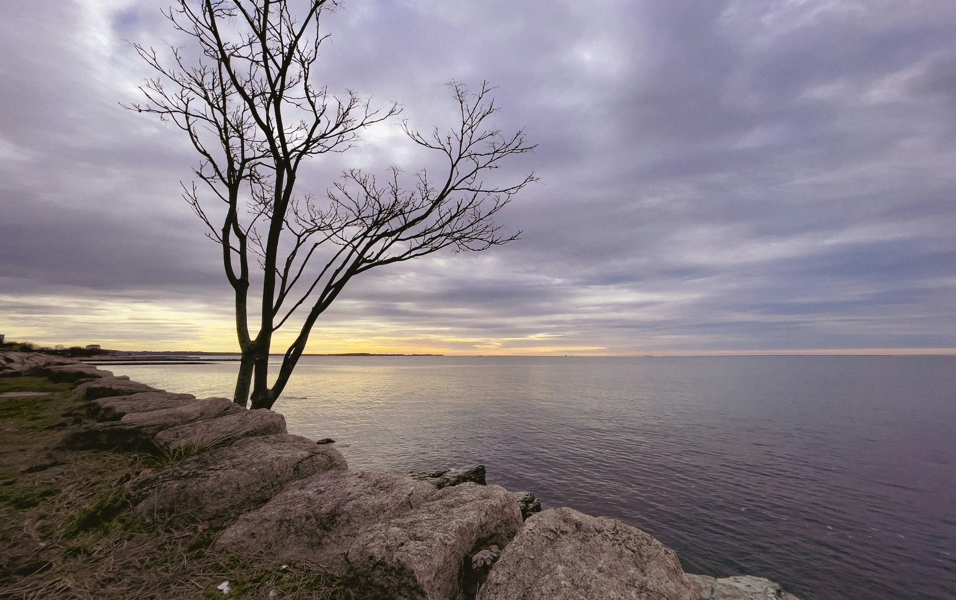white and brown building near body of water