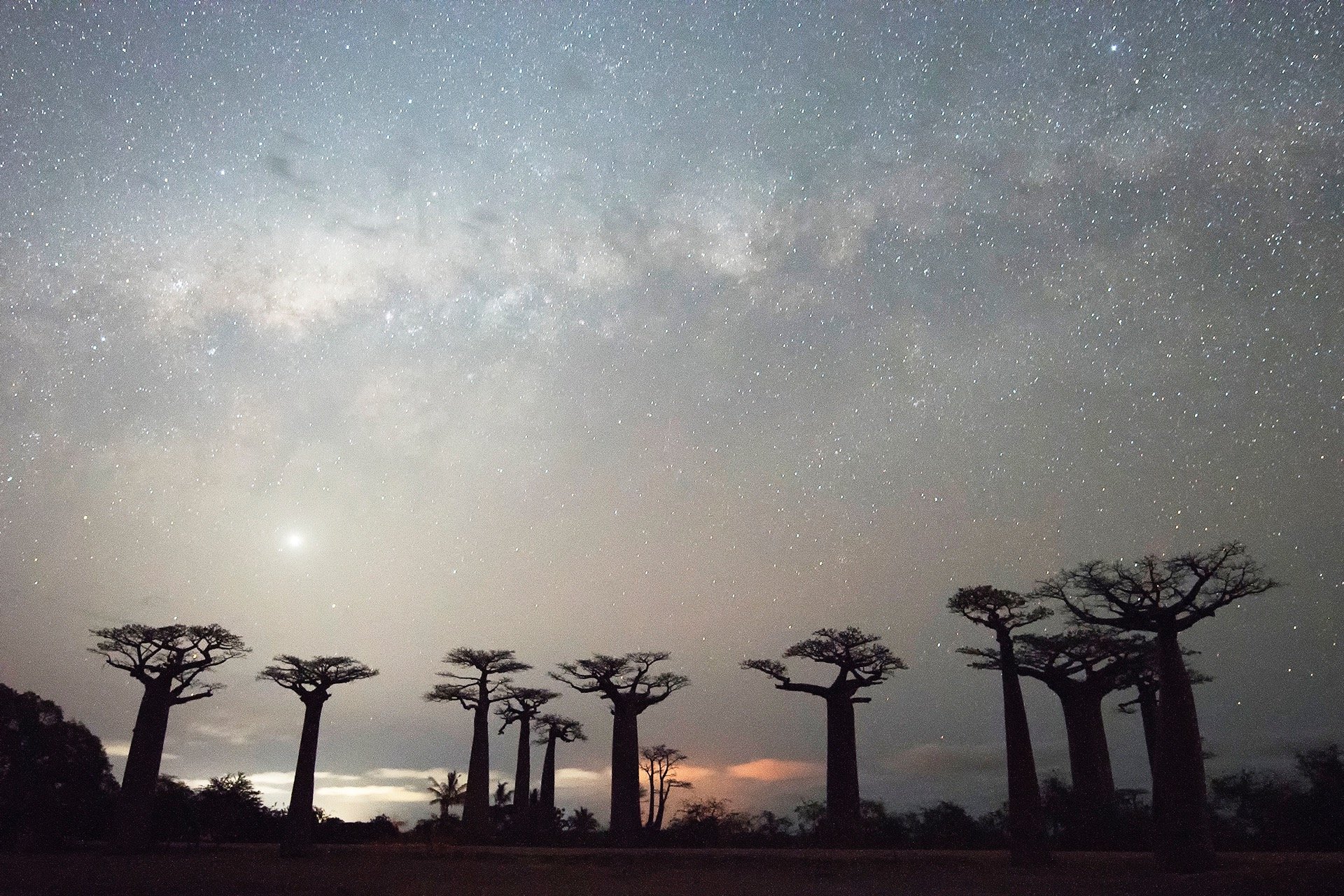a close up of a black and brown abstract painting