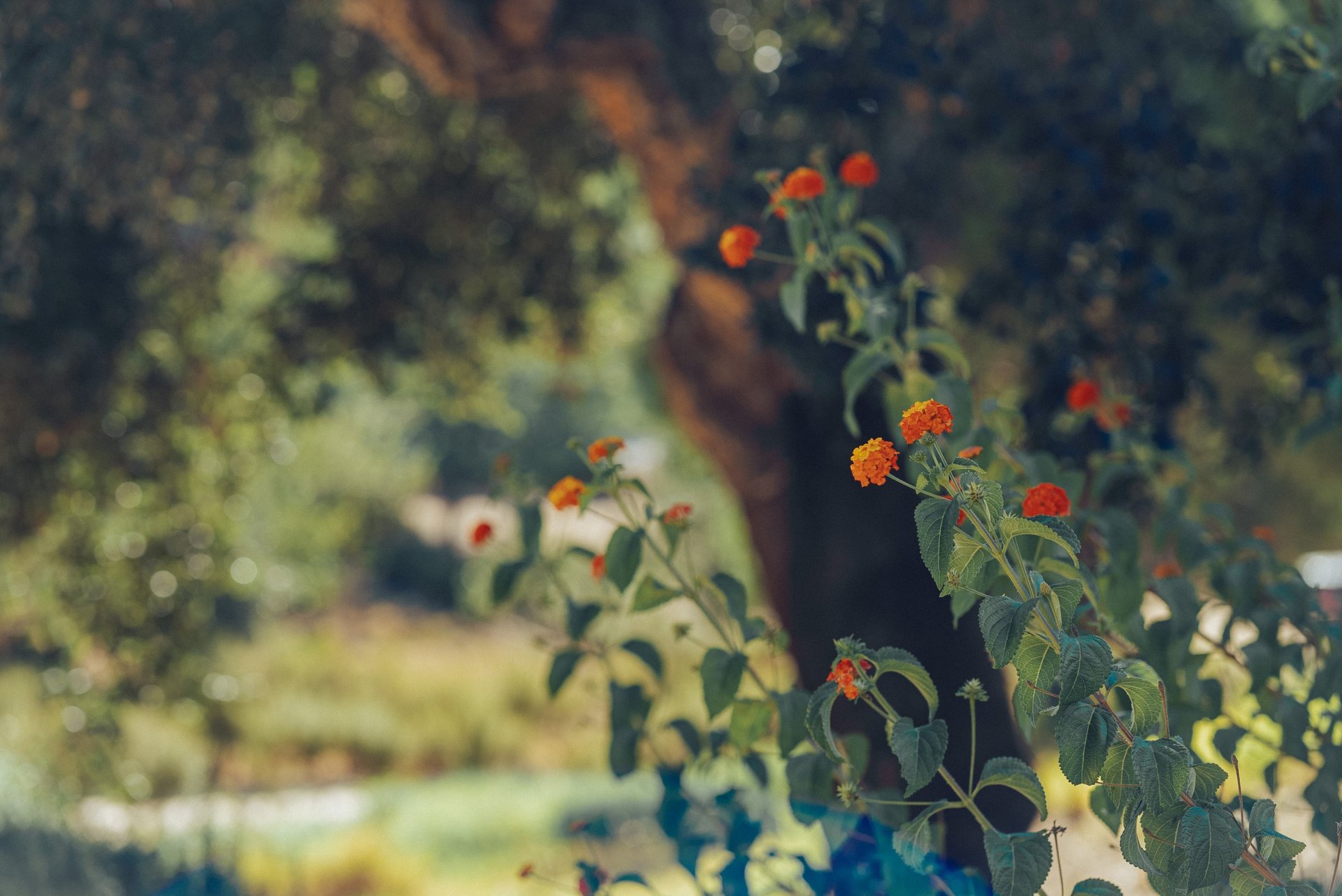 Casa rural com piscina privada e natureza envolvente em Coruche