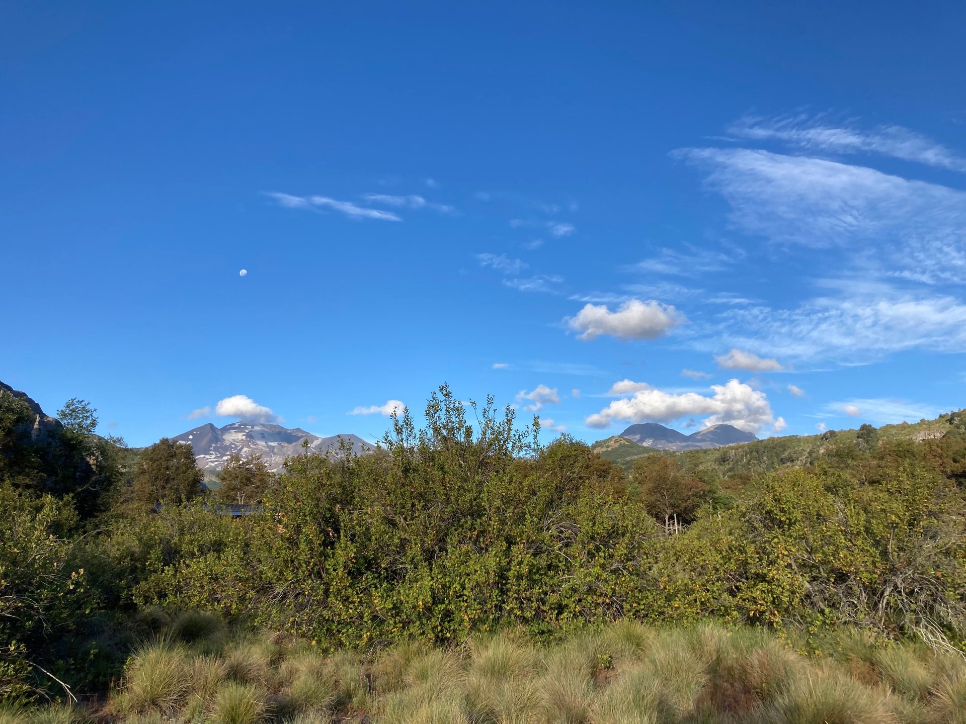 woman wearing yellow long-sleeved dress under white clouds and blue sky during daytime