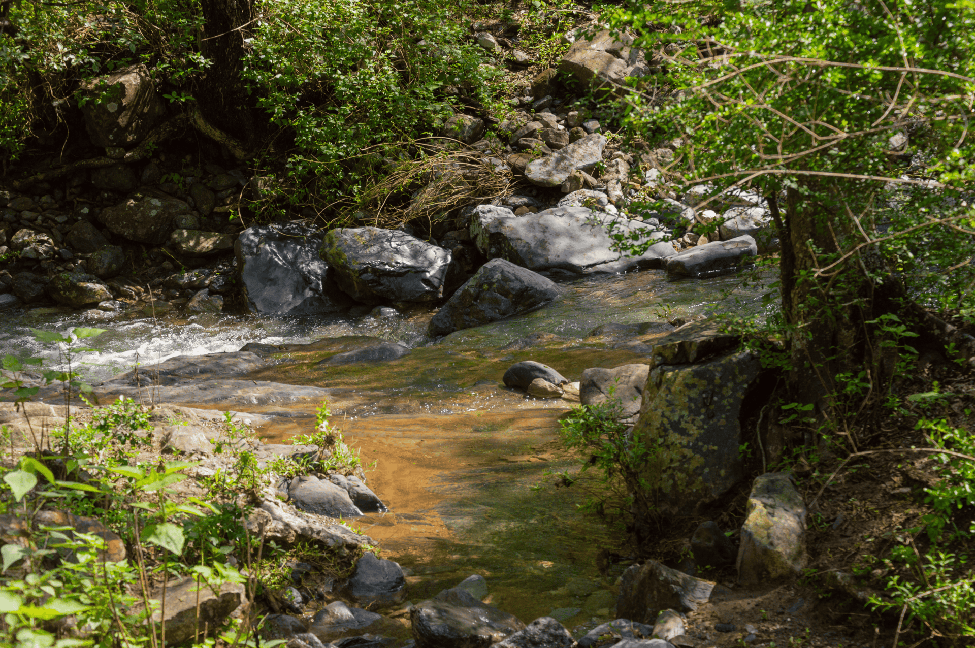 gray computer monitor
