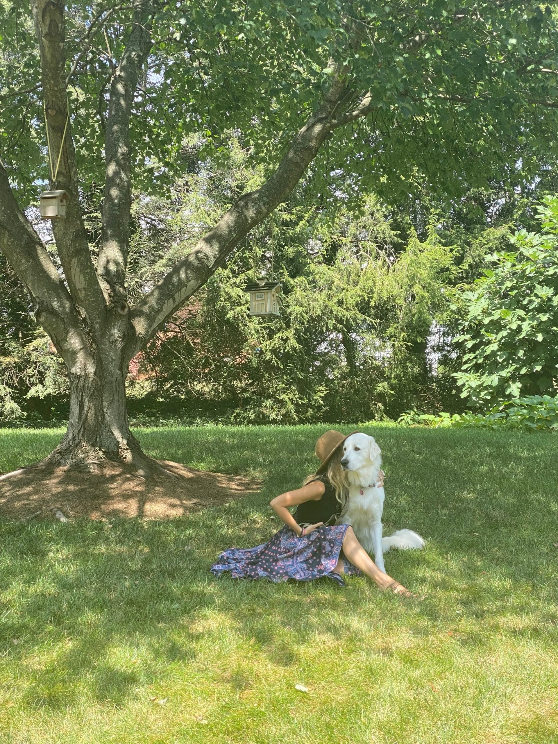 gray computer monitor