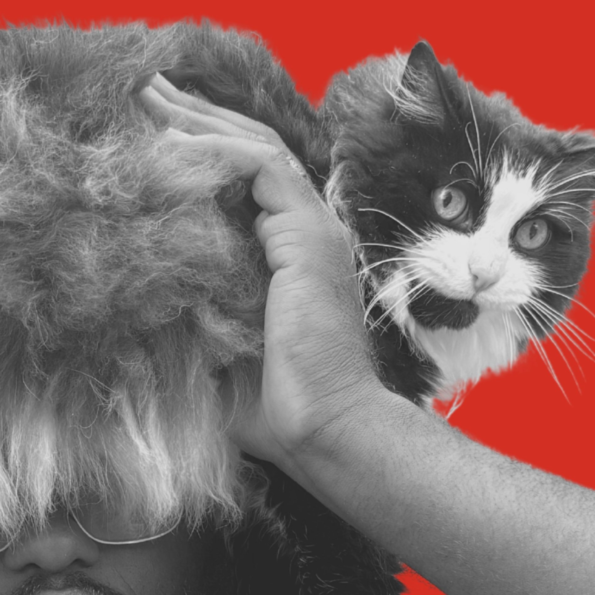 an abstract photo of a curved building with a blue sky in the background