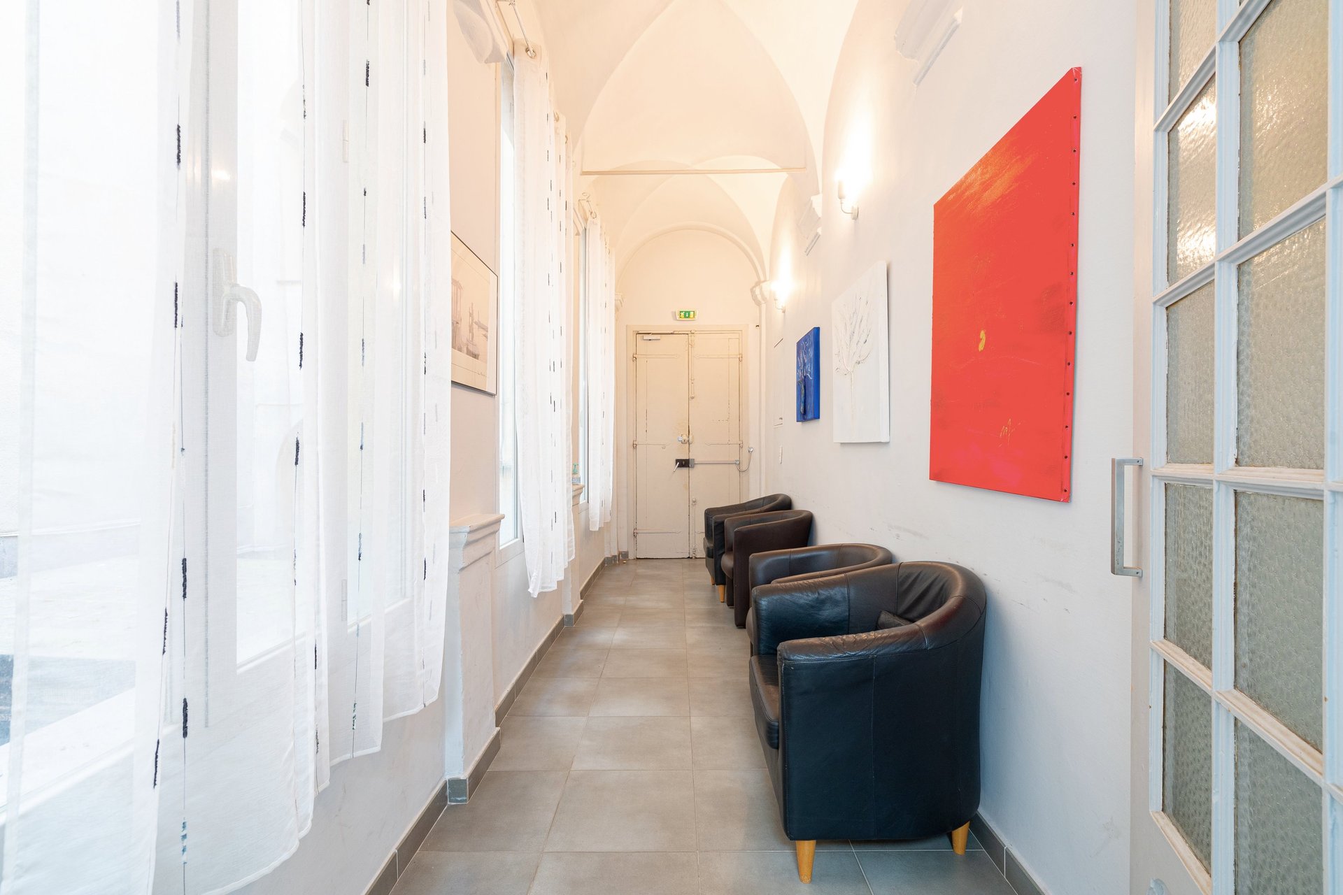 three plants in pots near brown wooden door