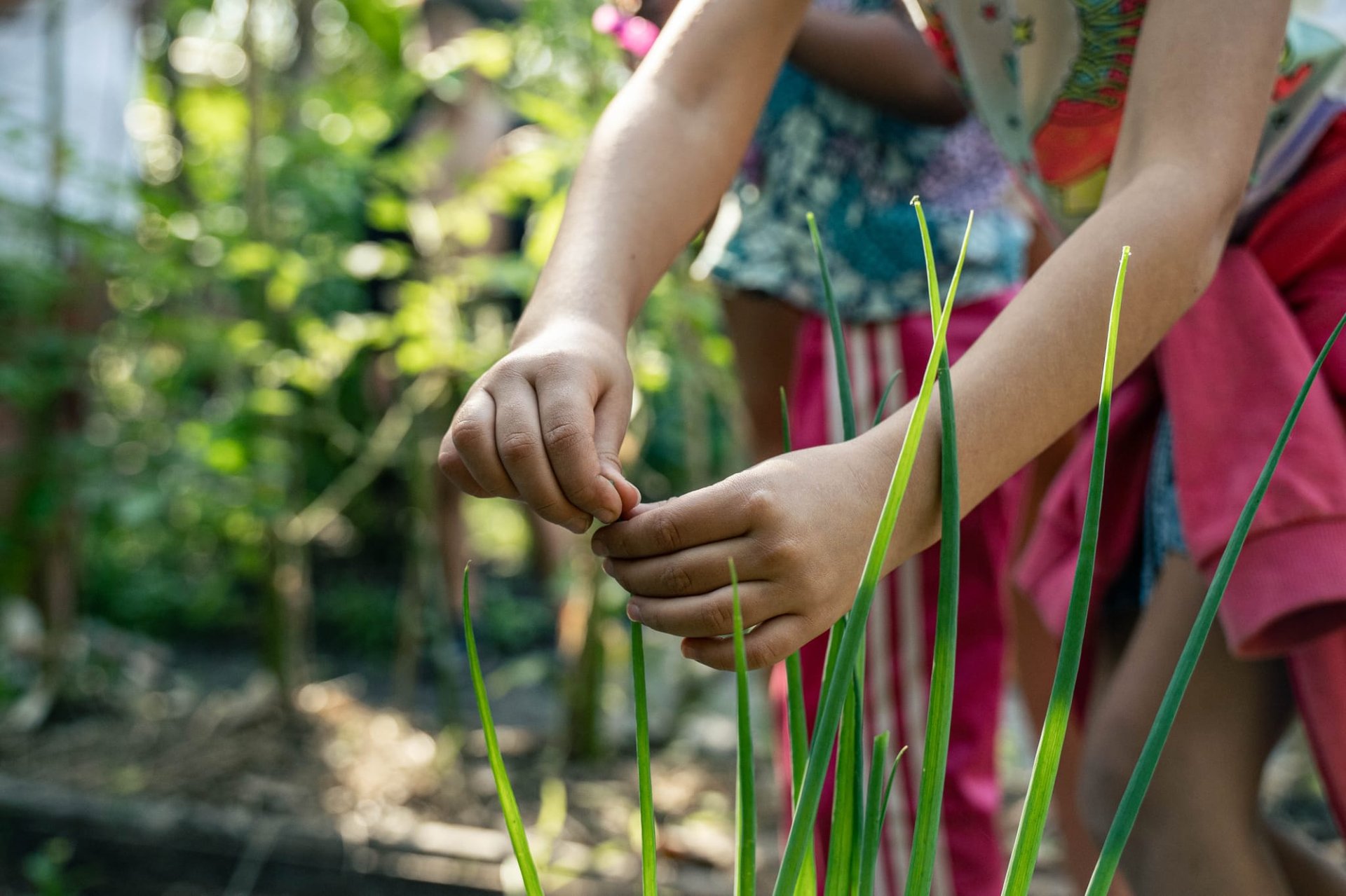 3 girls standing near tree during daytime