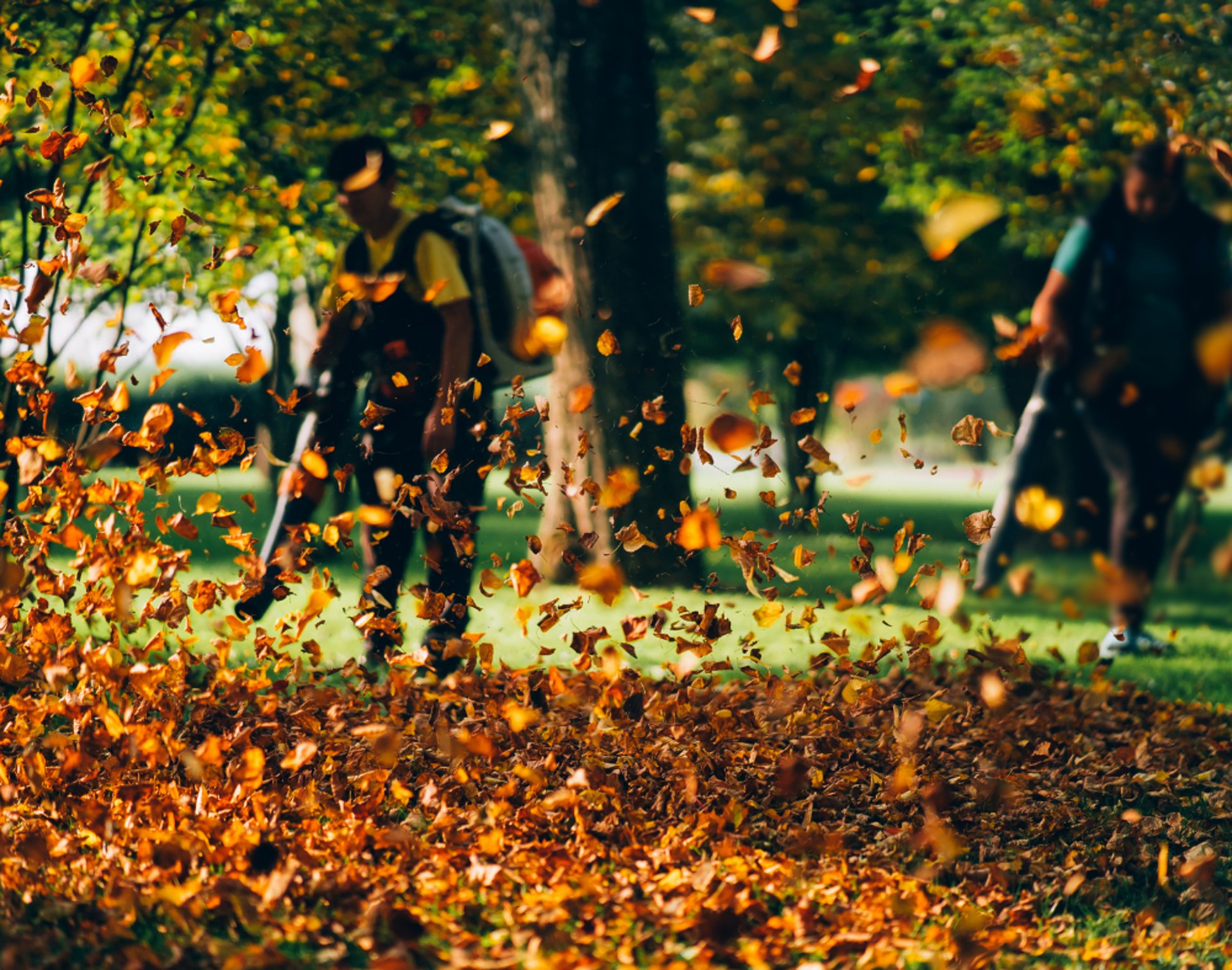 leaf blowers blowing leaves into pile