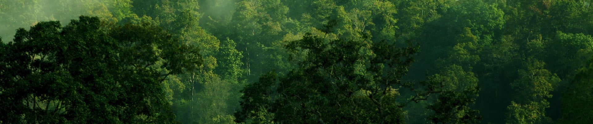 woman wearing yellow long-sleeved dress under white clouds and blue sky during daytime