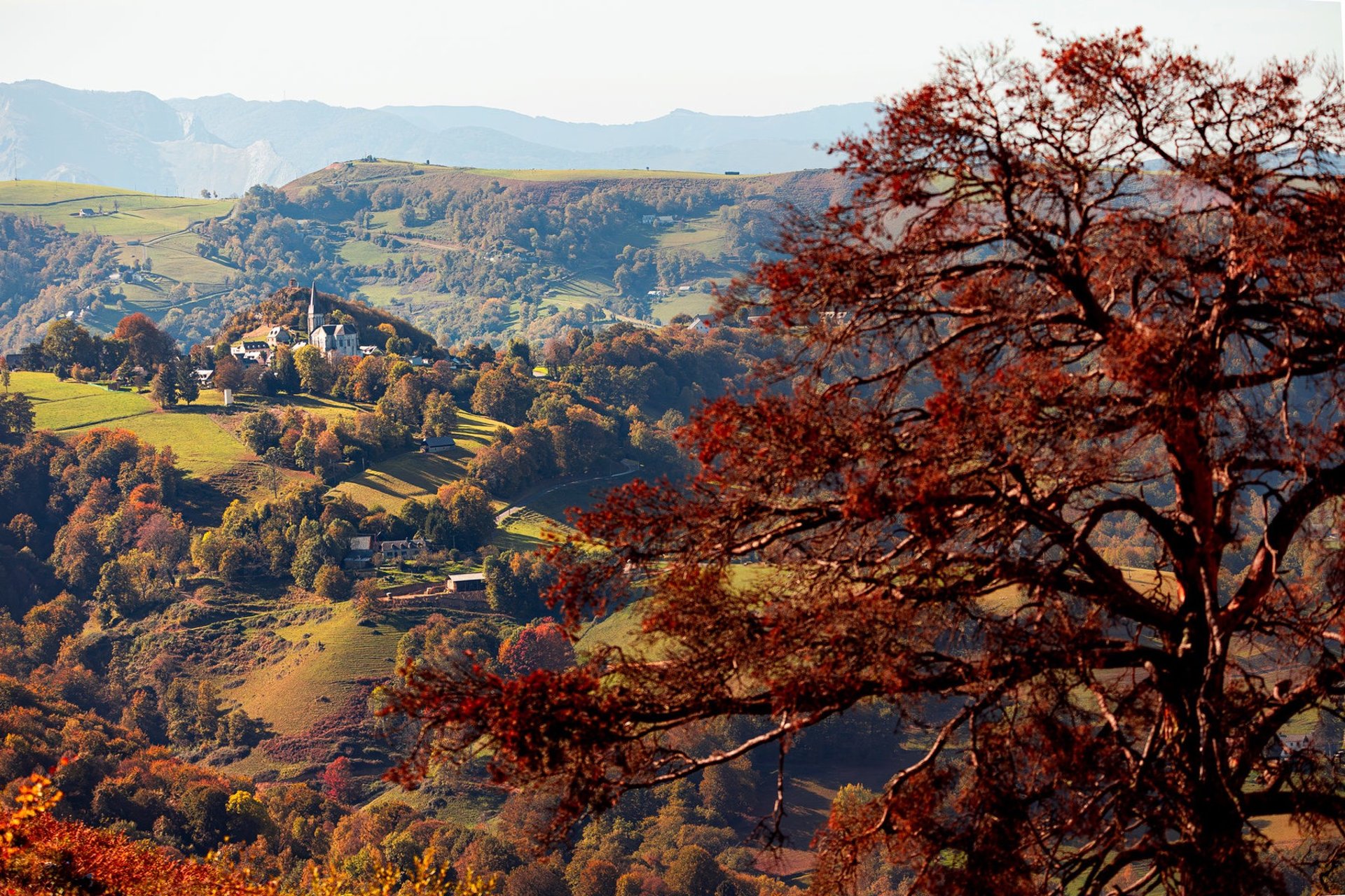 black blue and yellow textile