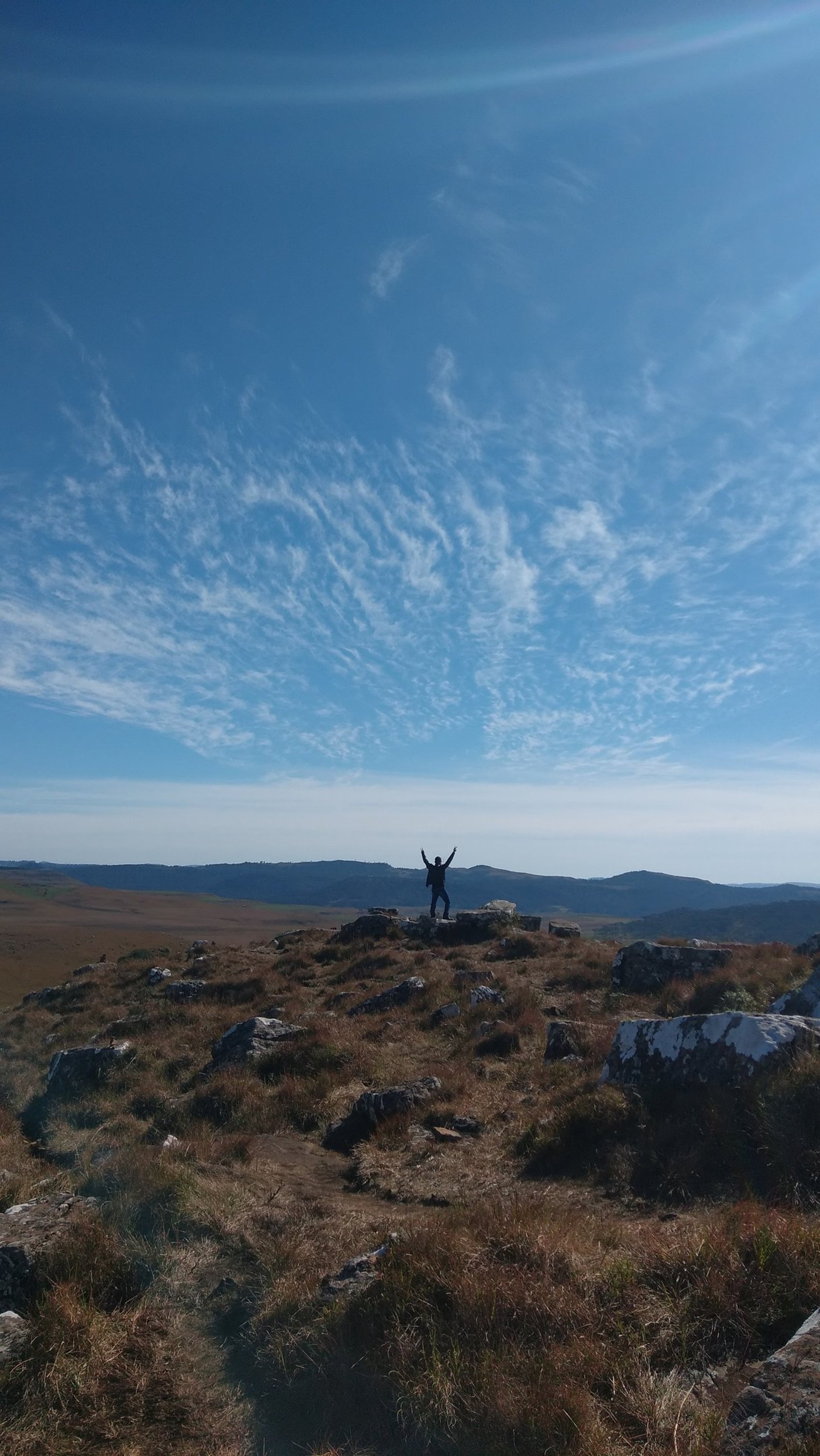 an abstract photo of a curved building with a blue sky in the background