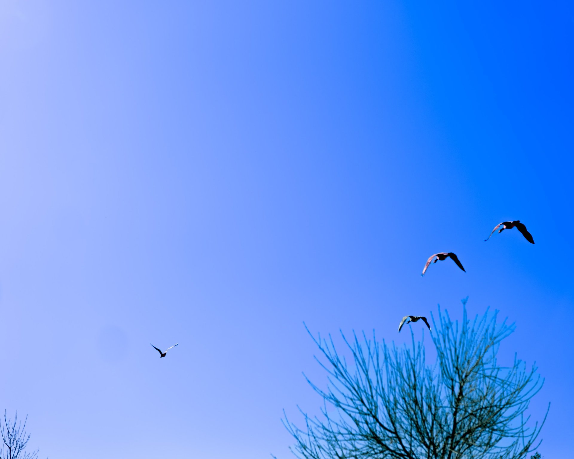 mountain range under blue sky