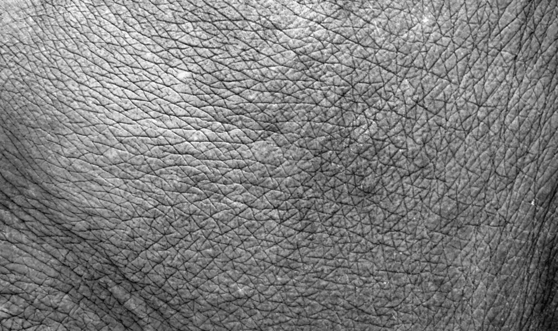 mountain range under blue sky