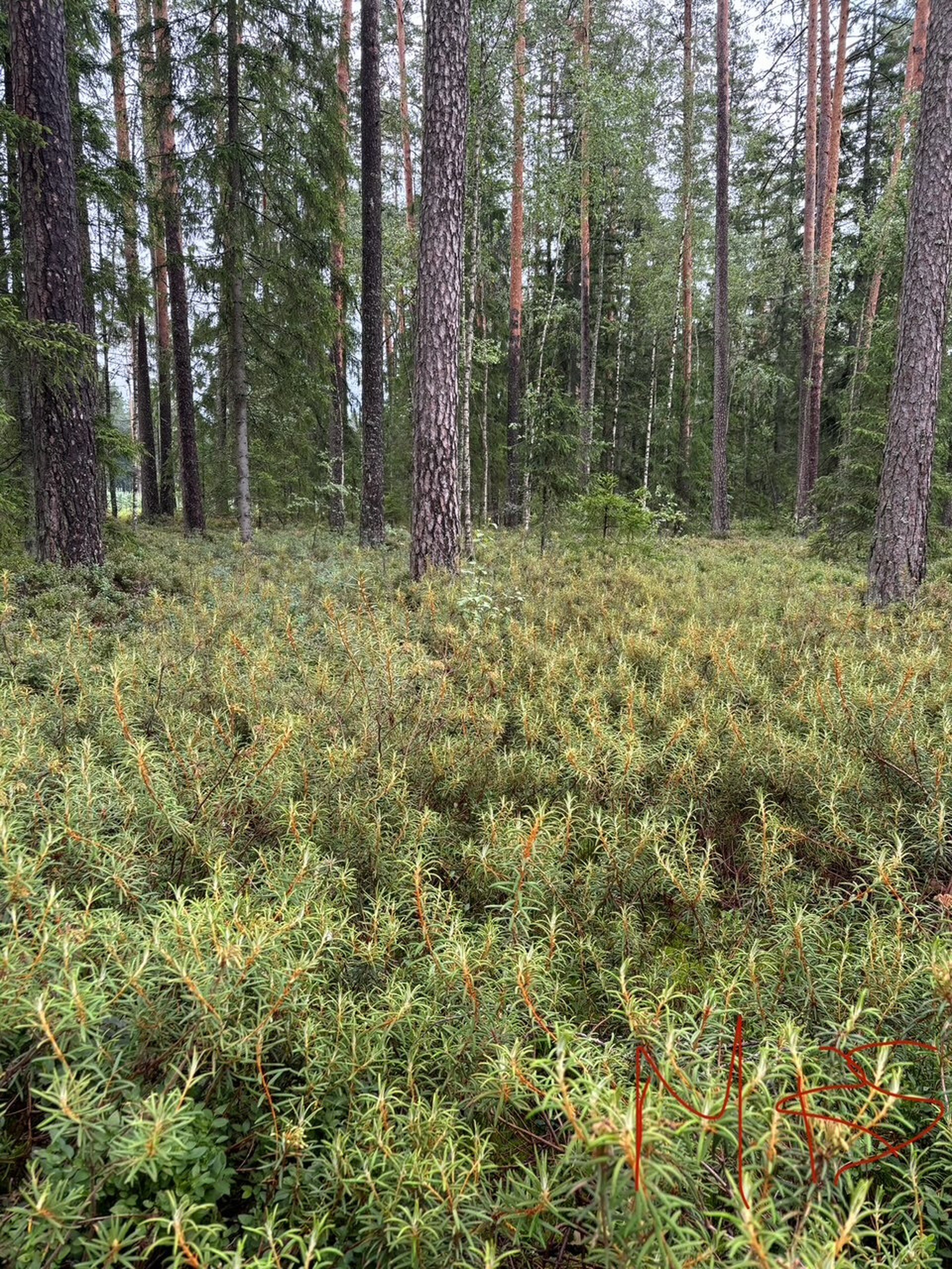 gray computer monitor