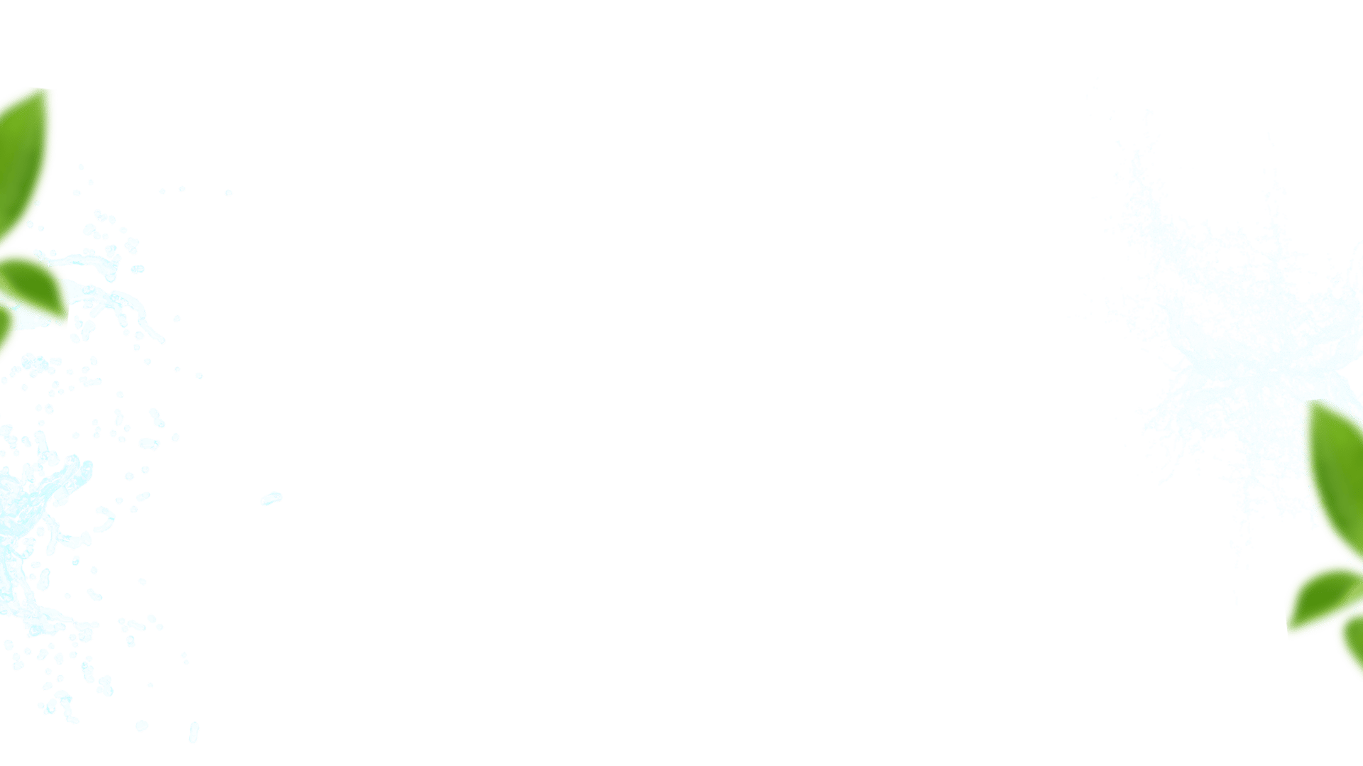 photo of body of water