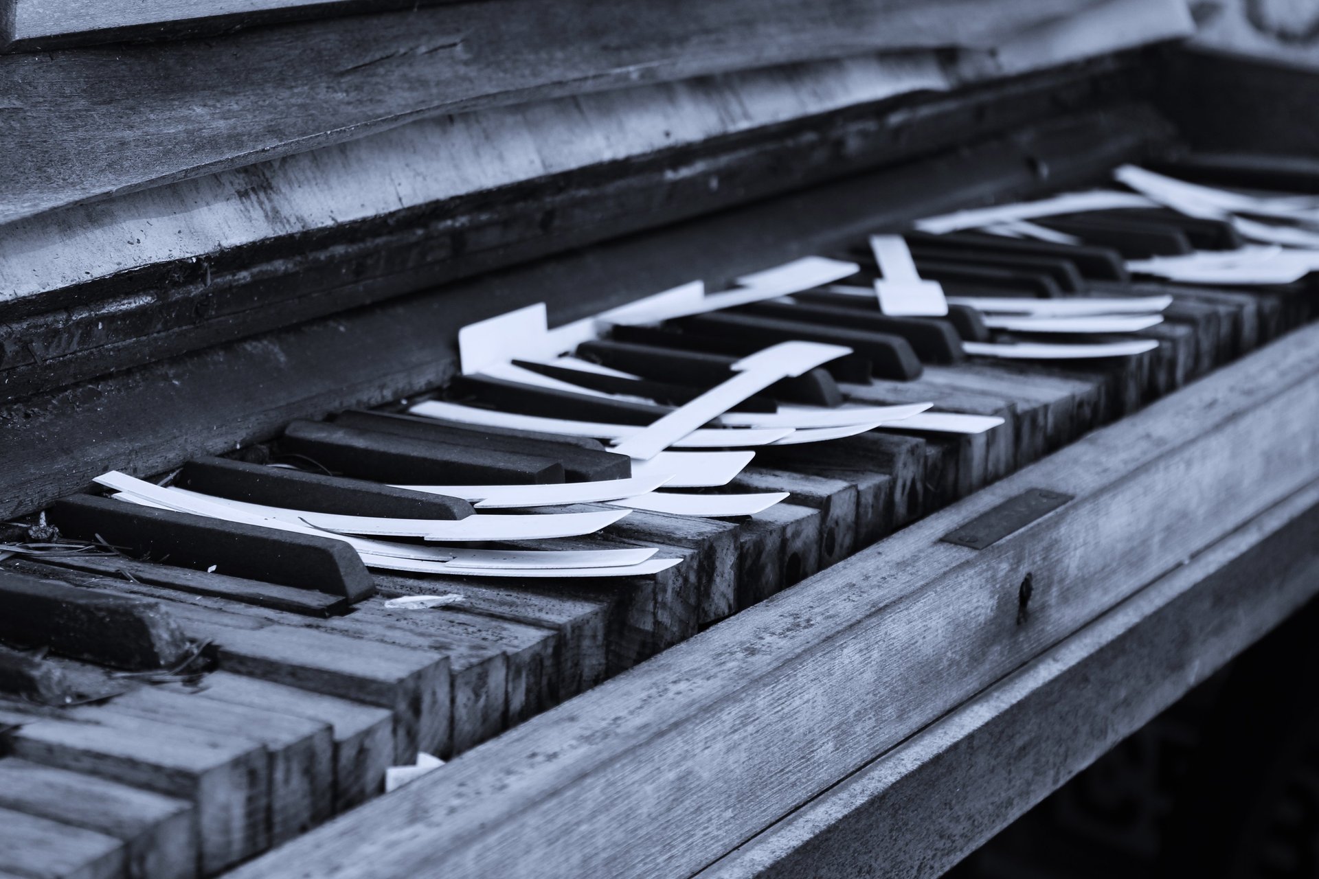 a person playing a music instrument