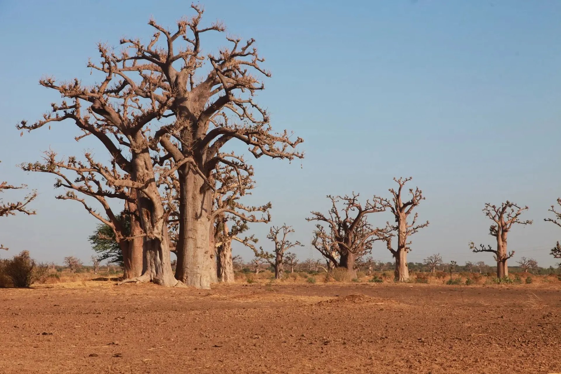 an abstract photo of a curved building with a blue sky in the background