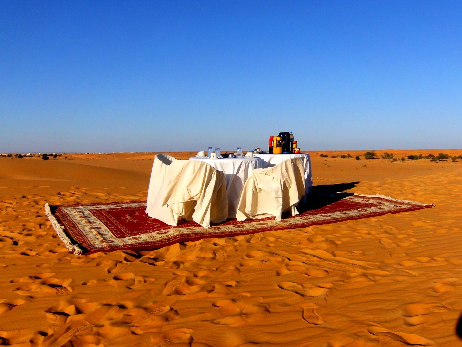 yellow sunflower field during daytime