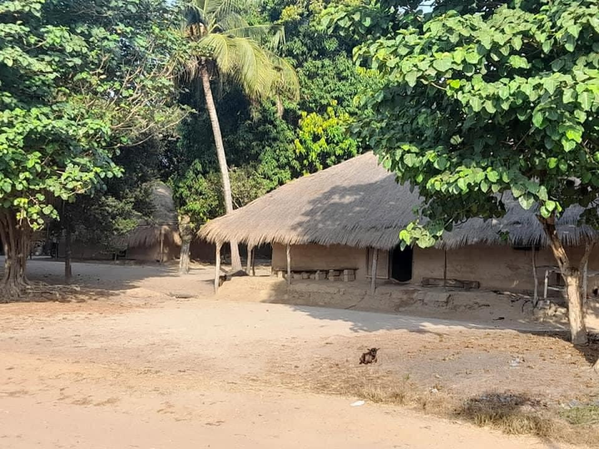 an abstract photo of a curved building with a blue sky in the background