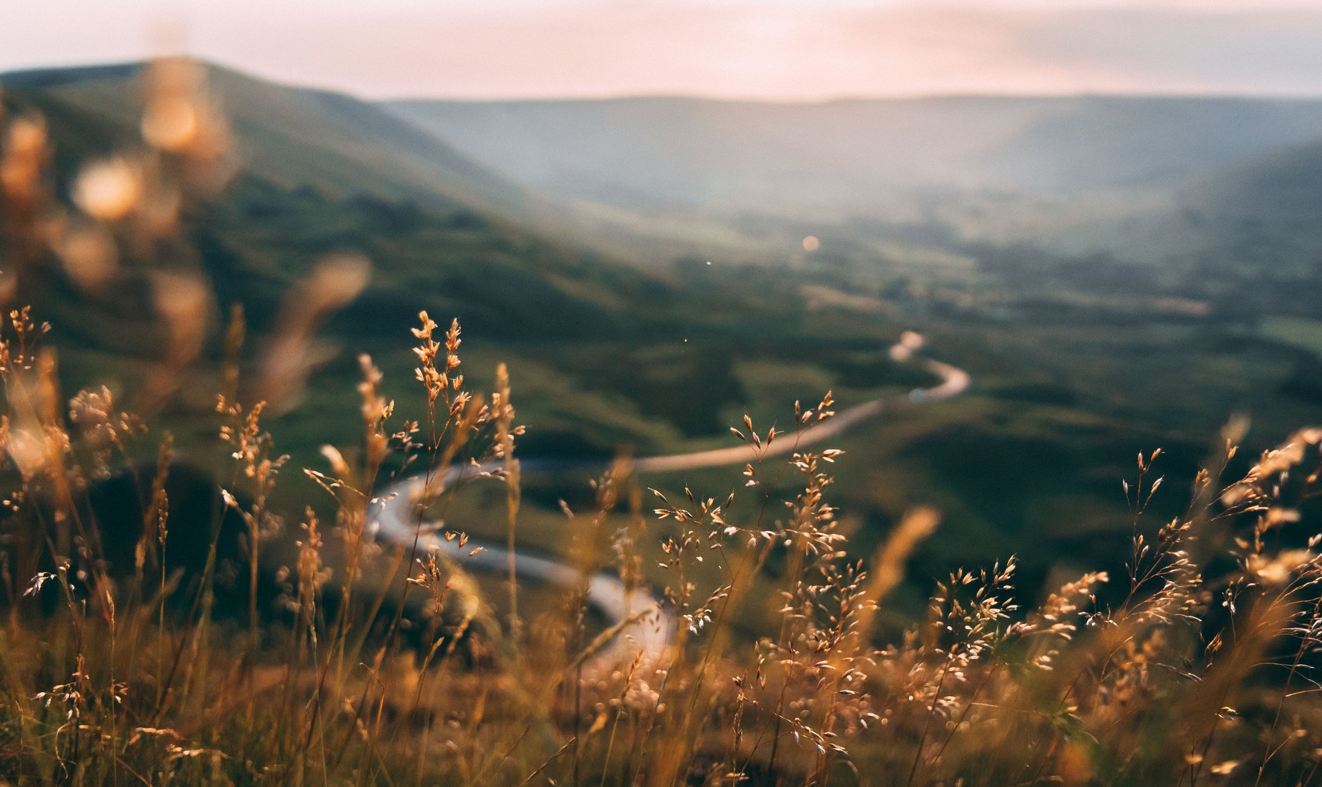 a green field with a few trees in the distance