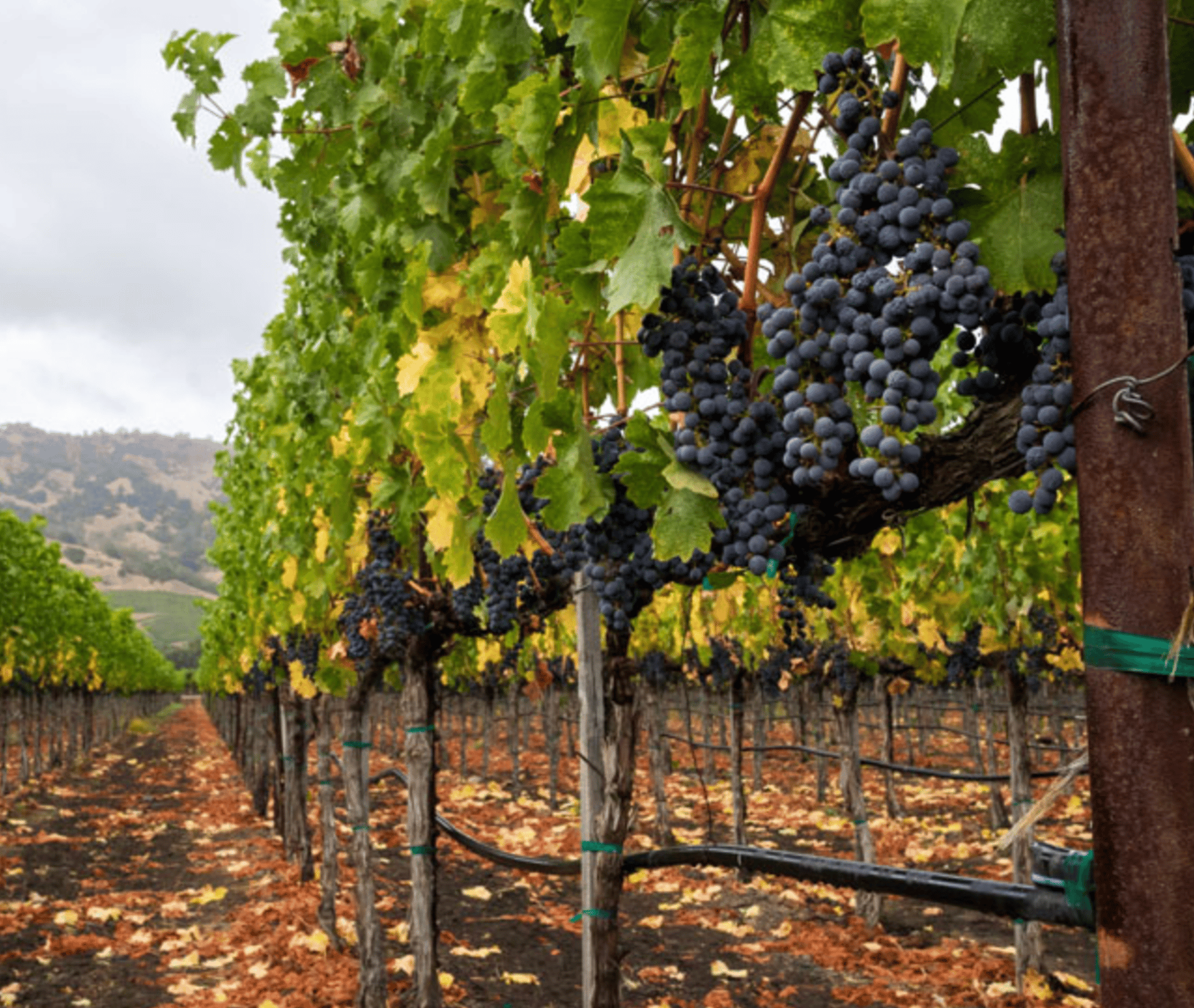 an abstract photo of a curved building with a blue sky in the background