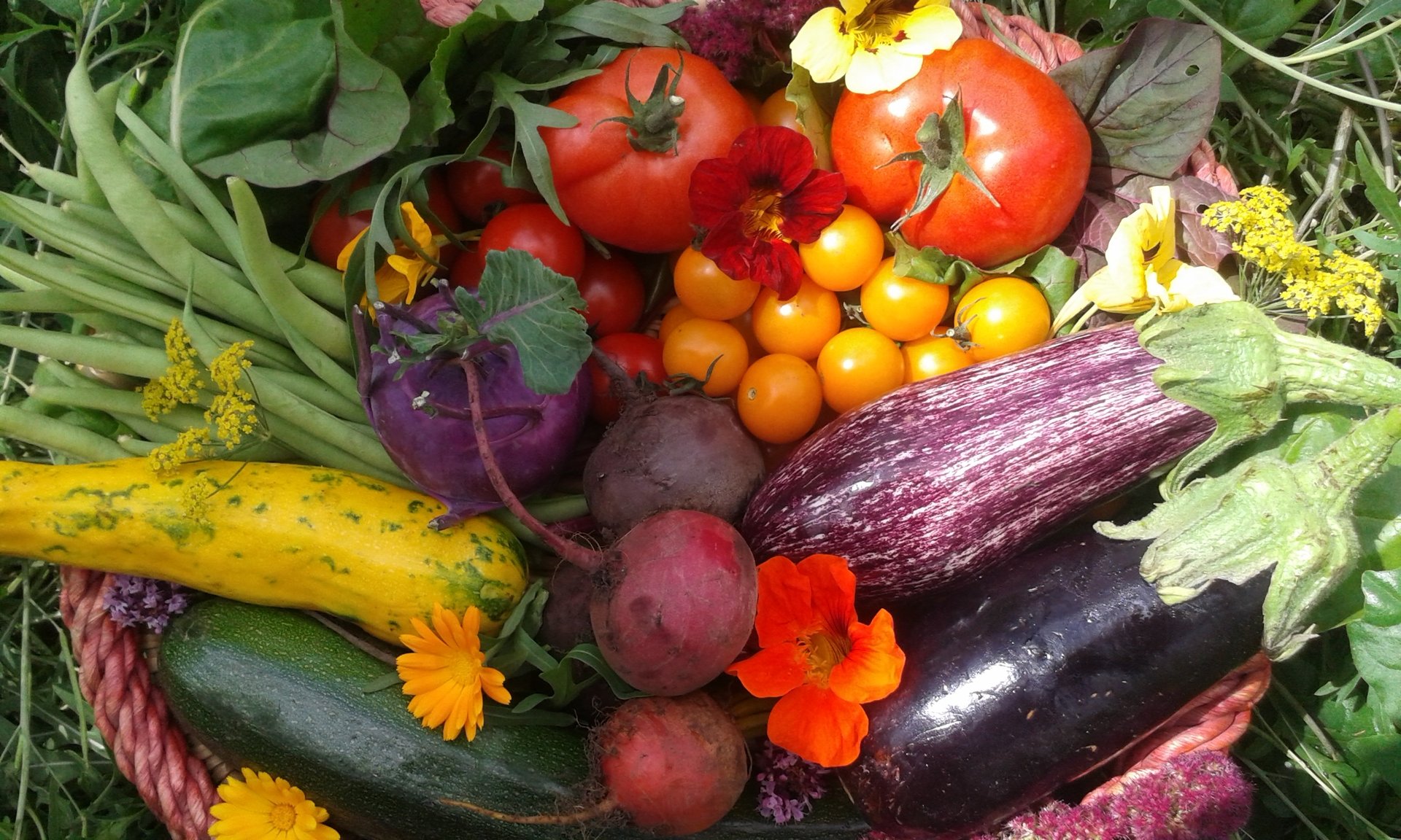 black blue and yellow textile