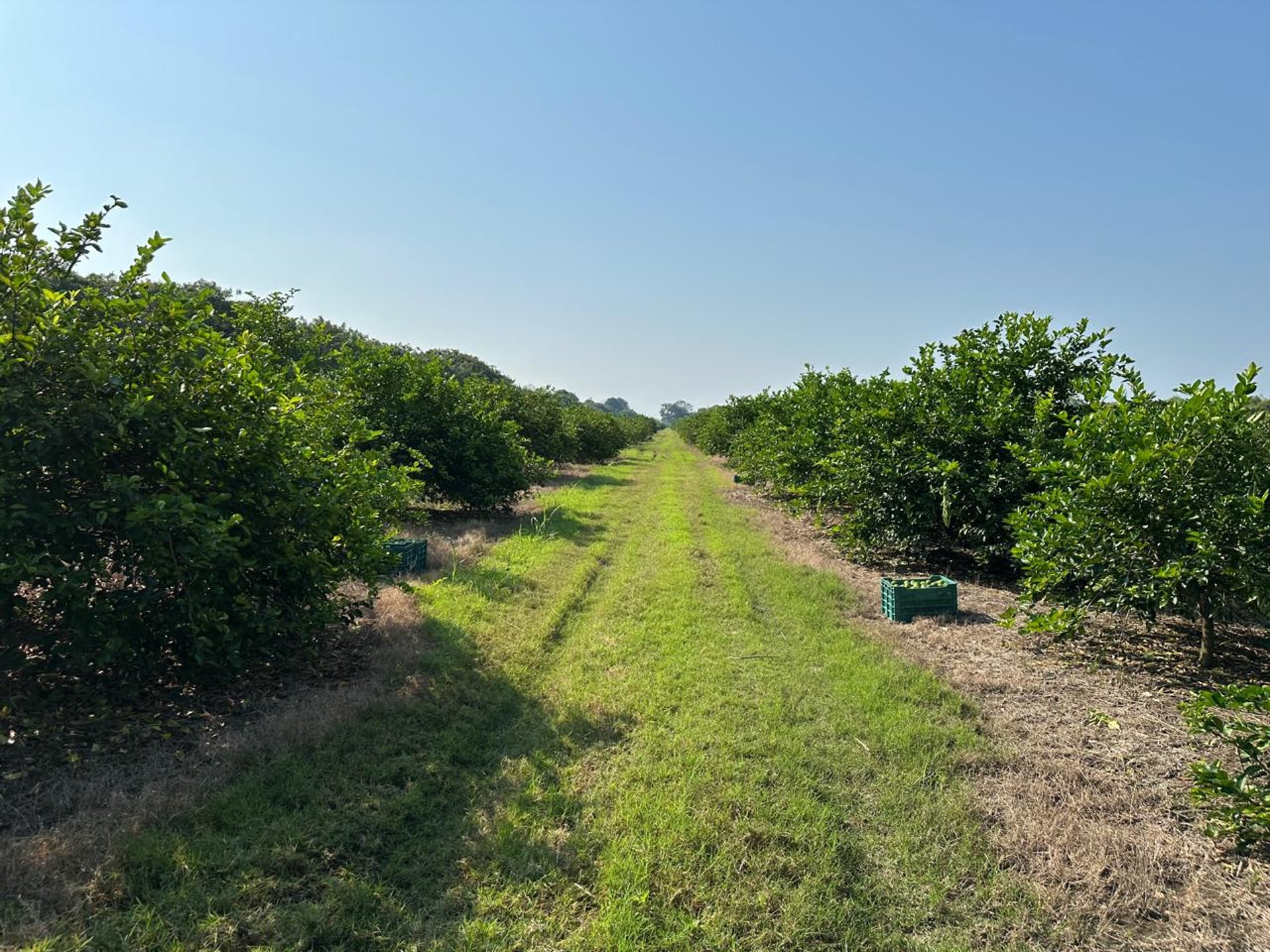 mountain range under blue sky