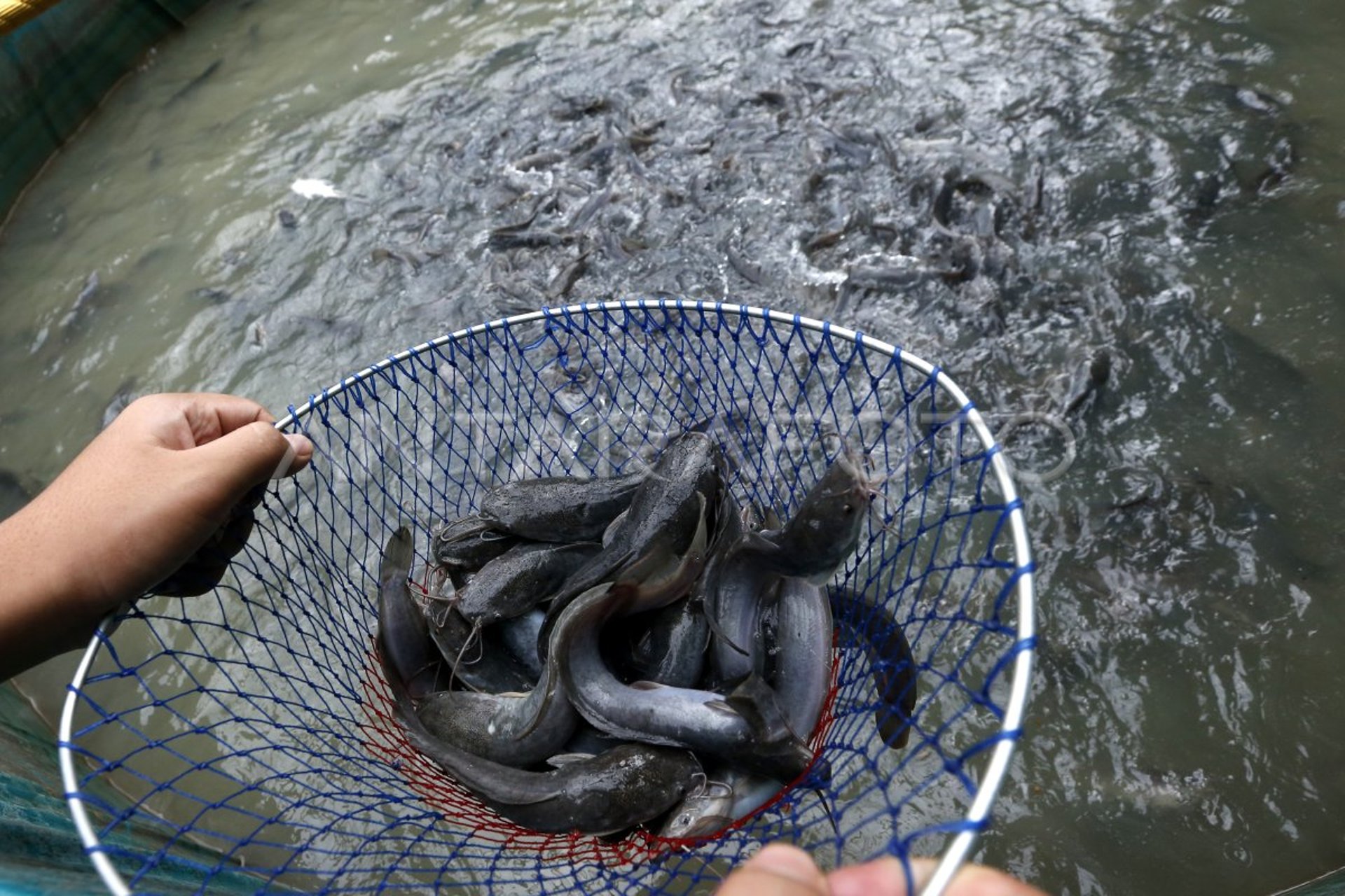 black and white bed linen