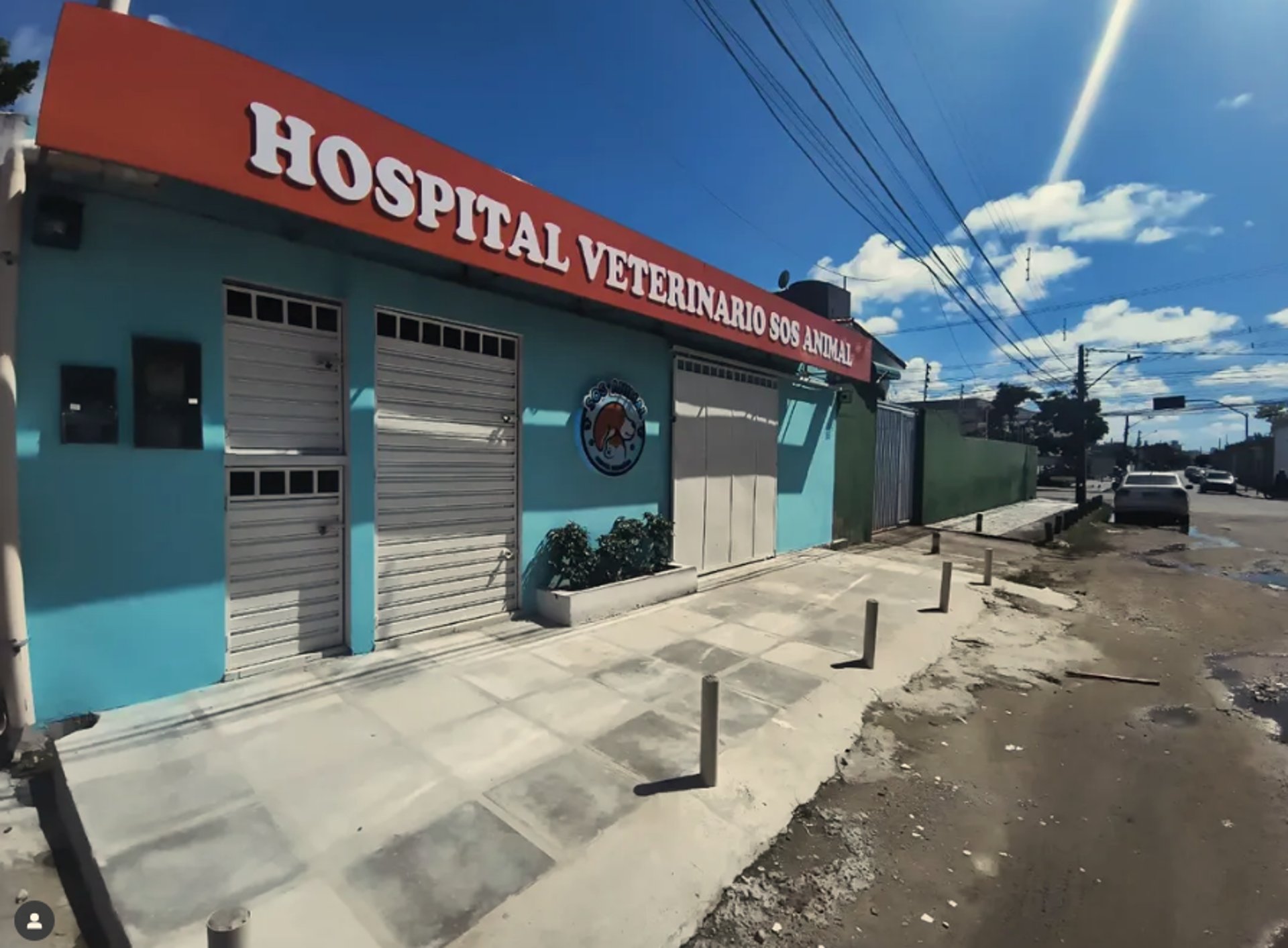woman wearing yellow long-sleeved dress under white clouds and blue sky during daytime