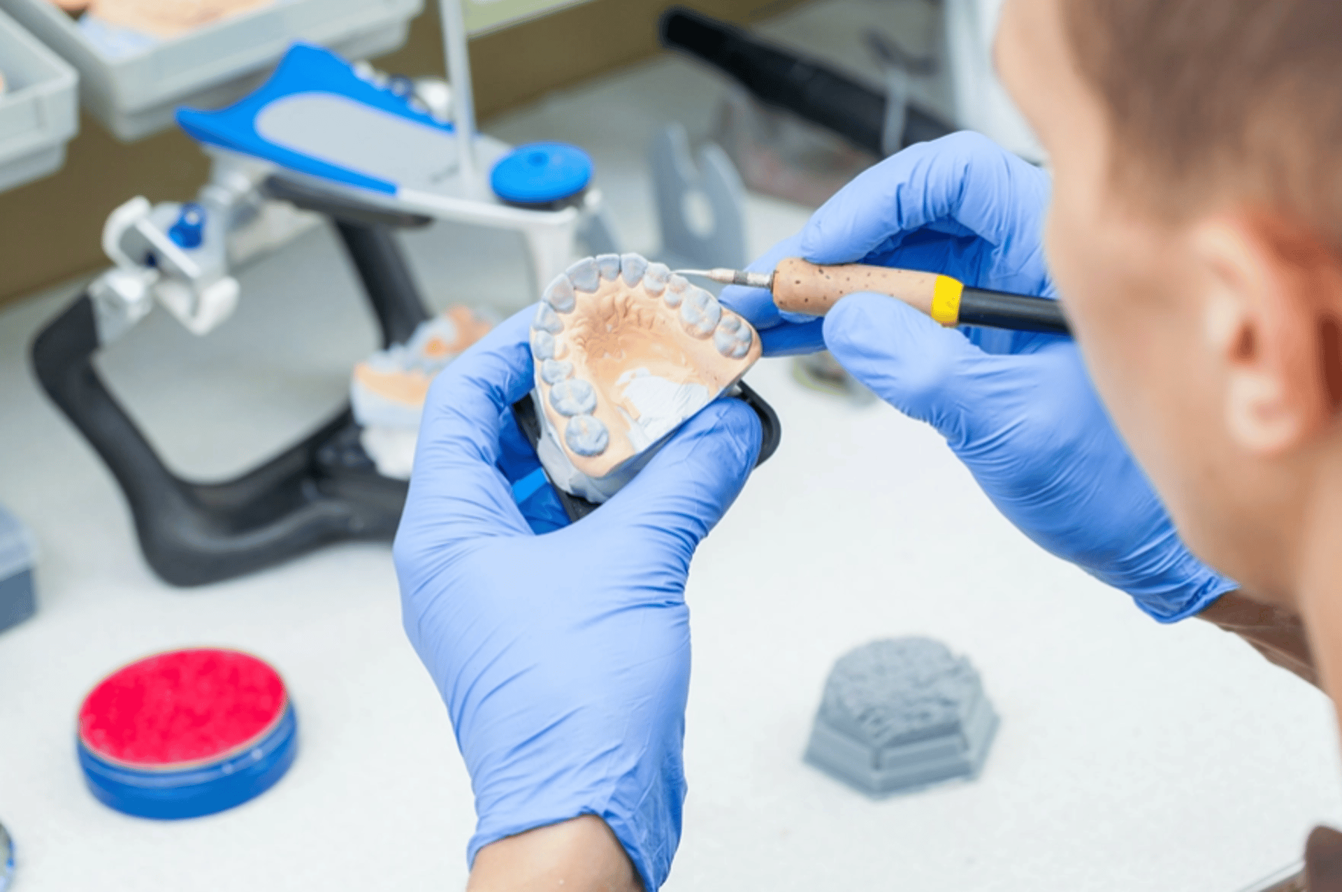 a model of a tooth with a toothbrush in it