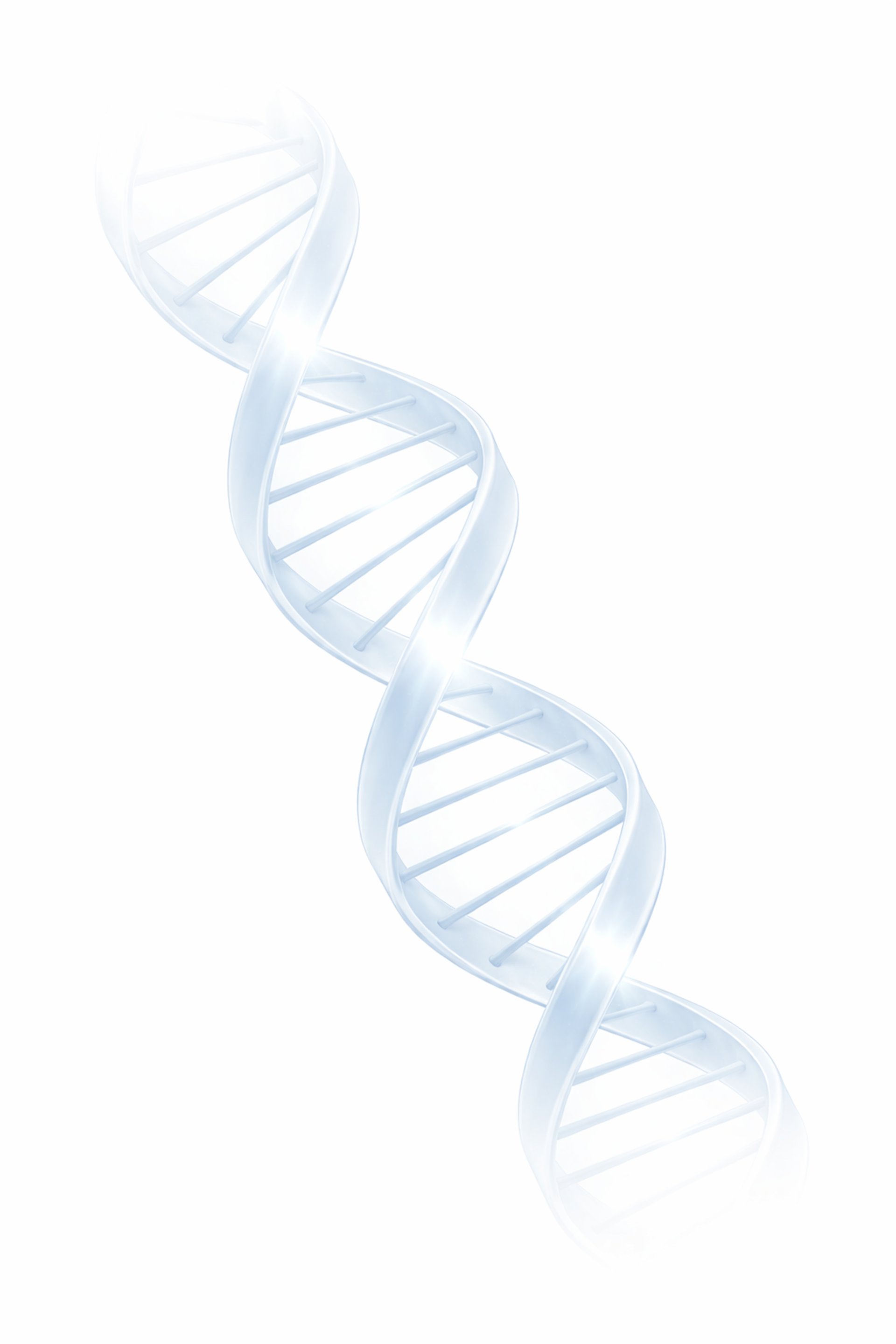 black and brown leather padded tub sofa