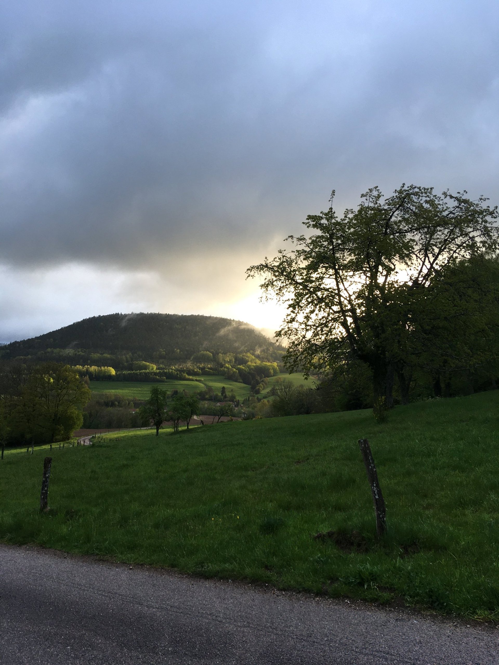 gray computer monitor