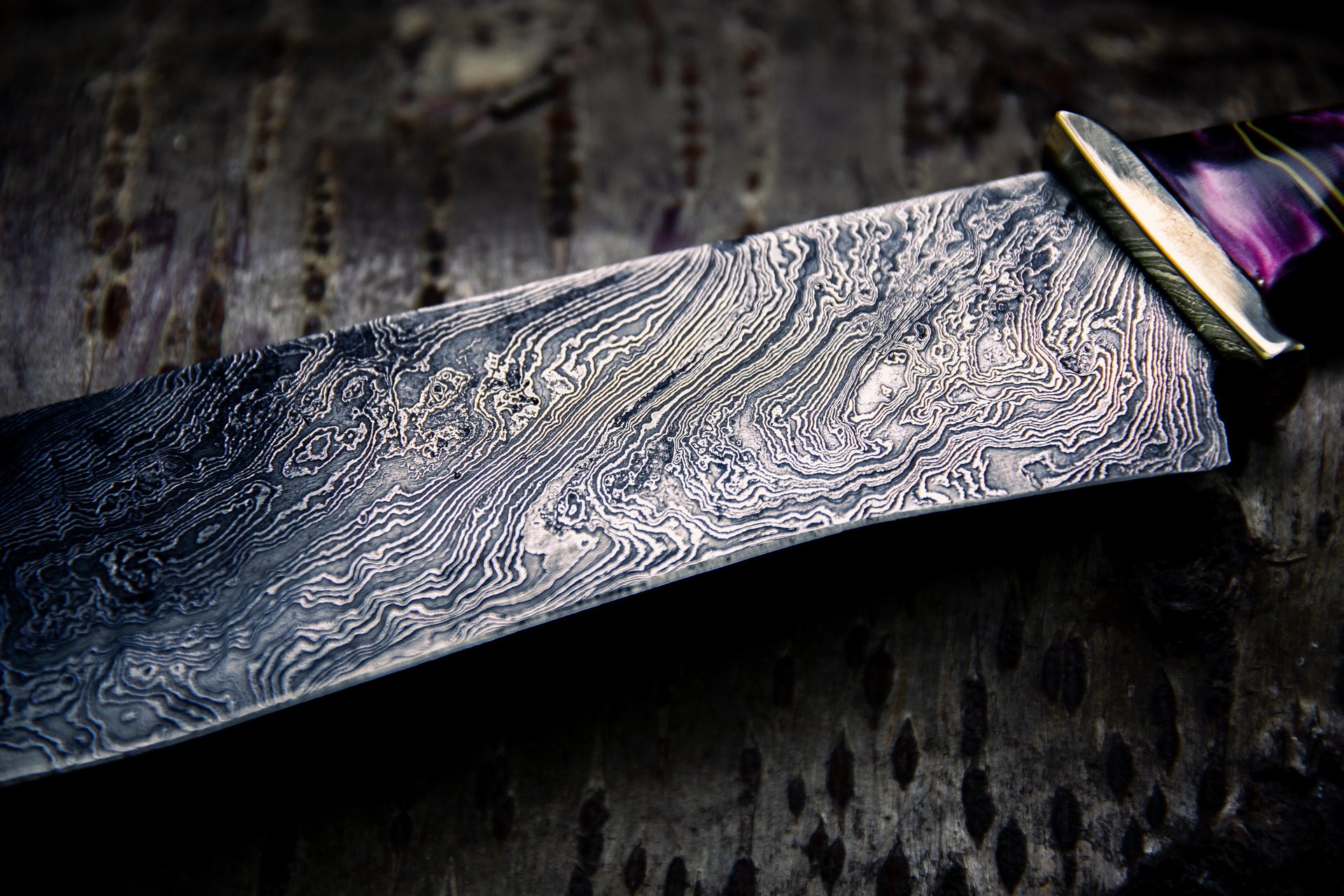 woman holding dried flower