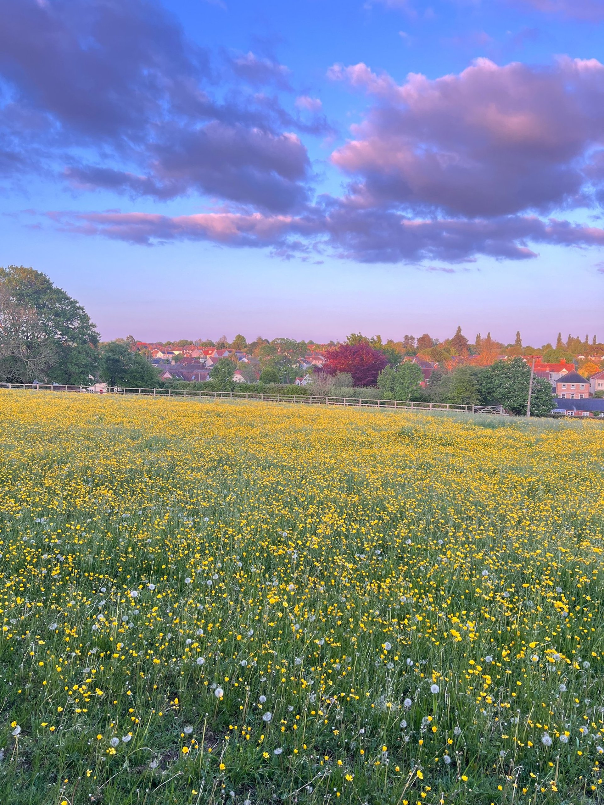 woman wearing yellow long-sleeved dress under white clouds and blue sky during daytime