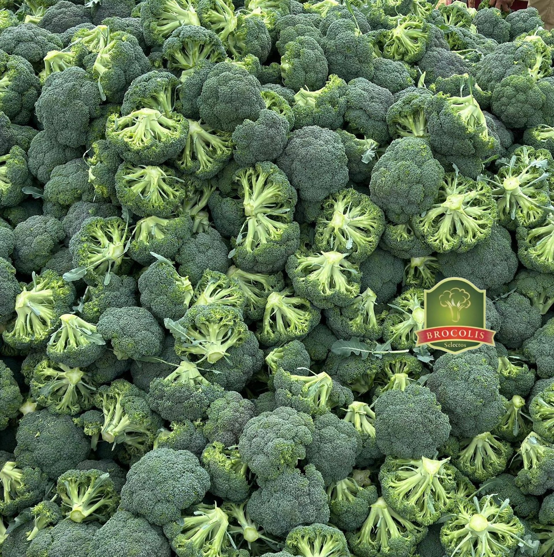 gray computer monitor