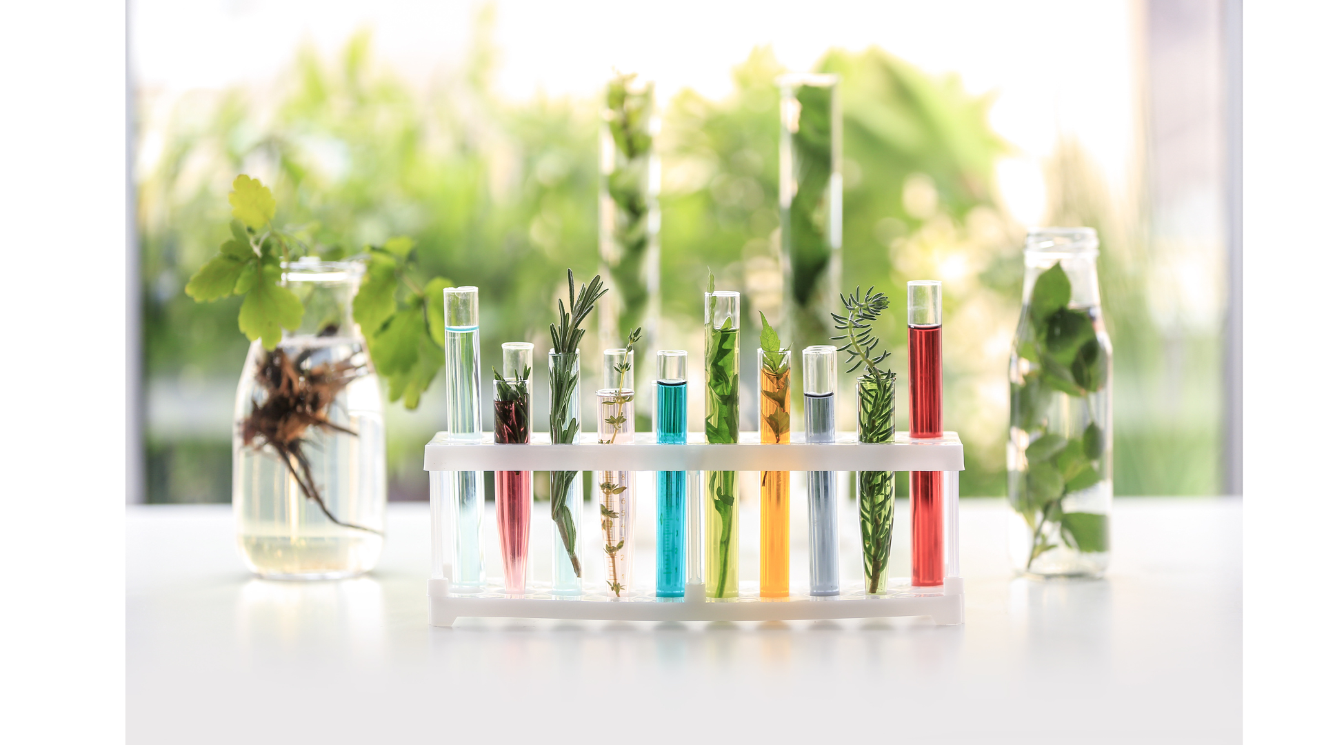 gray computer monitor