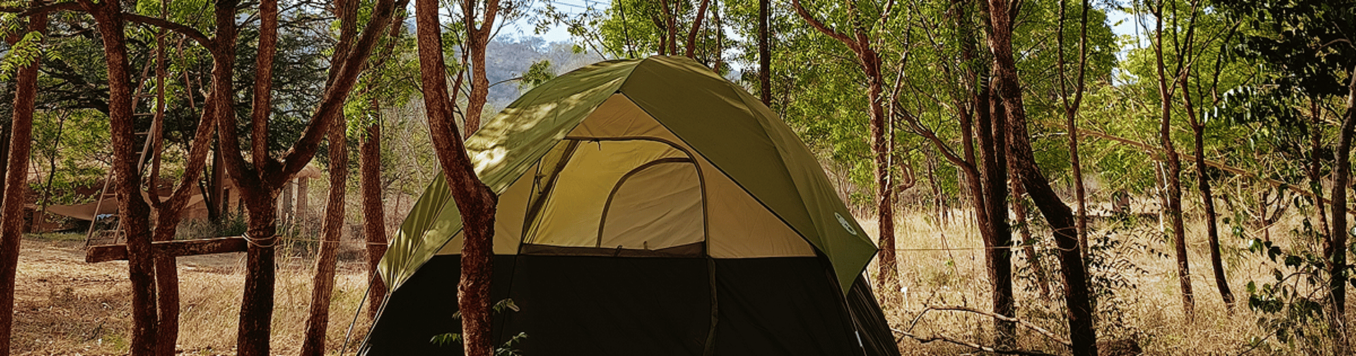an abstract photo of a curved building with a blue sky in the background