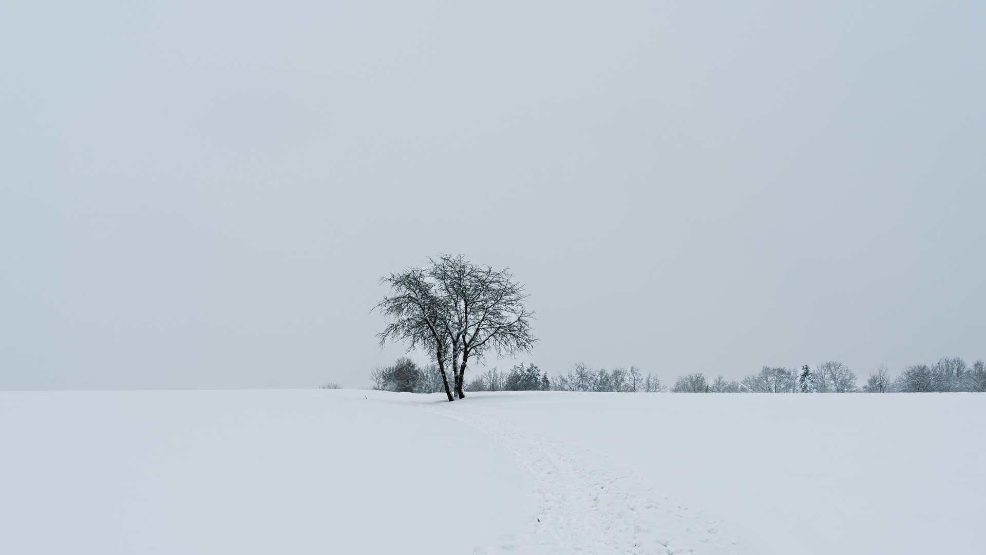 a close up of a camera with a lens