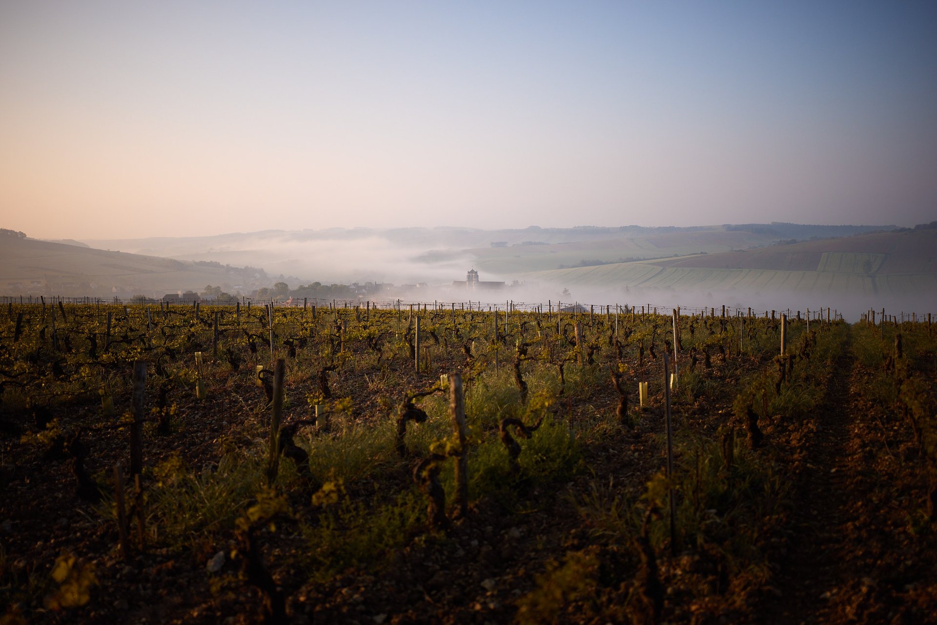 an abstract photo of a curved building with a blue sky in the background