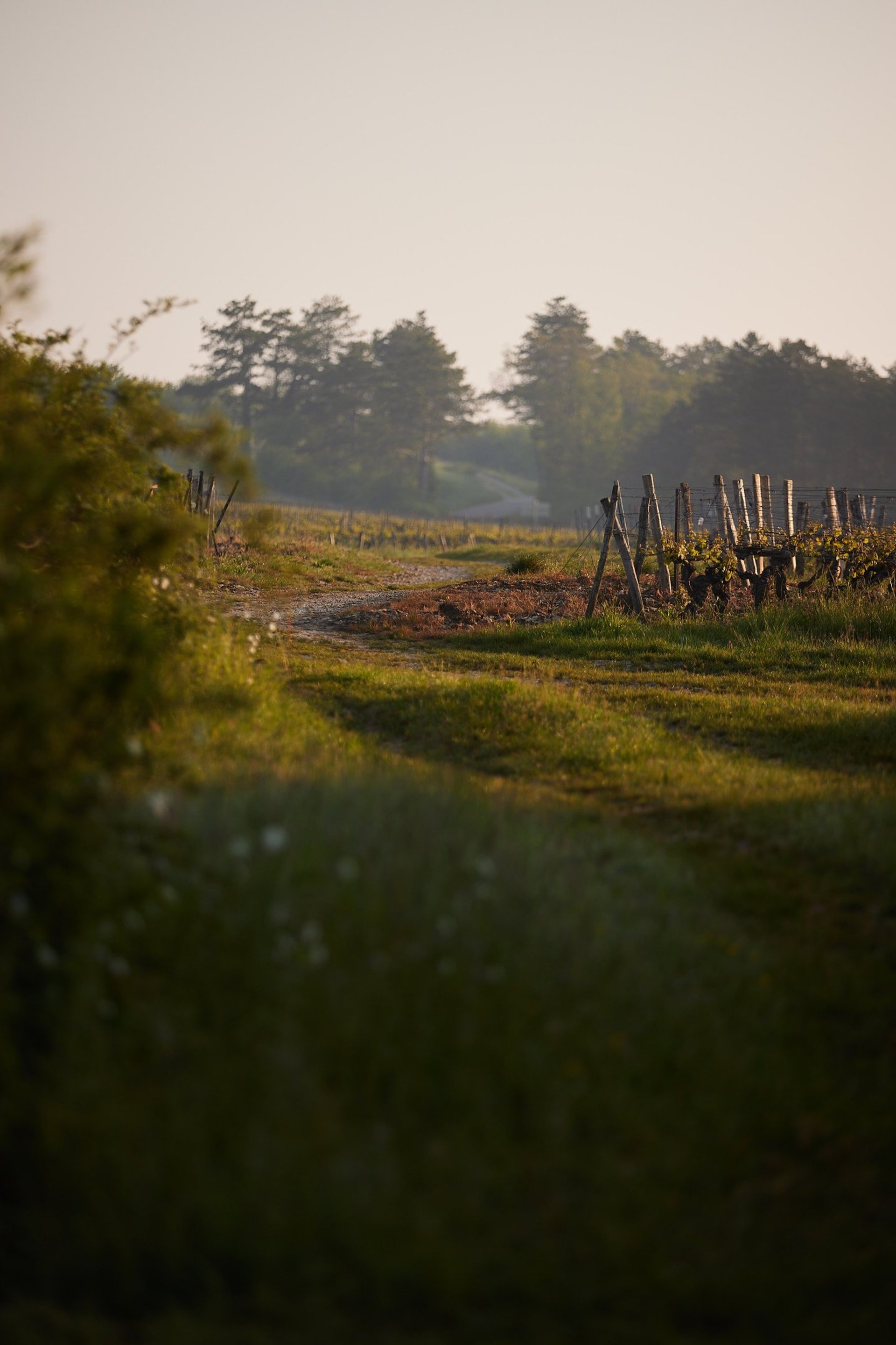 an abstract photo of a curved building with a blue sky in the background