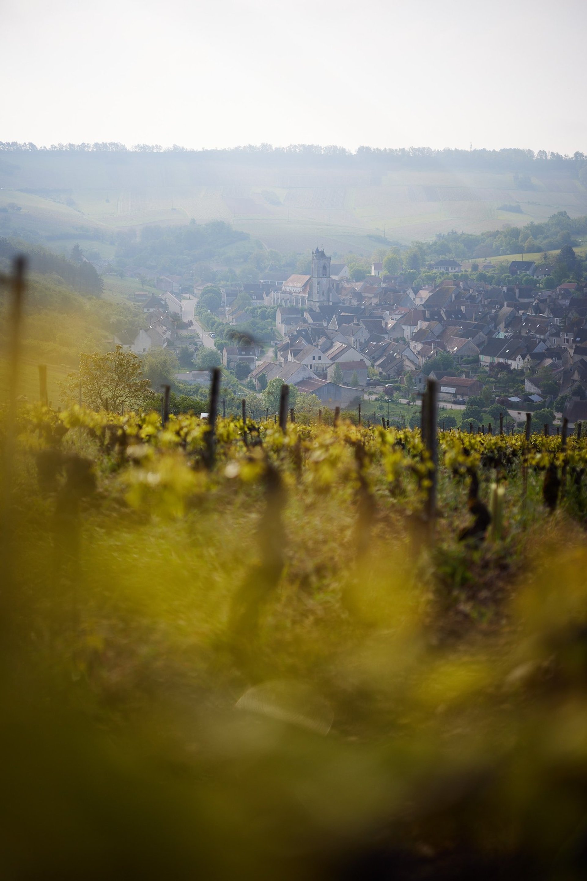 an abstract photo of a curved building with a blue sky in the background
