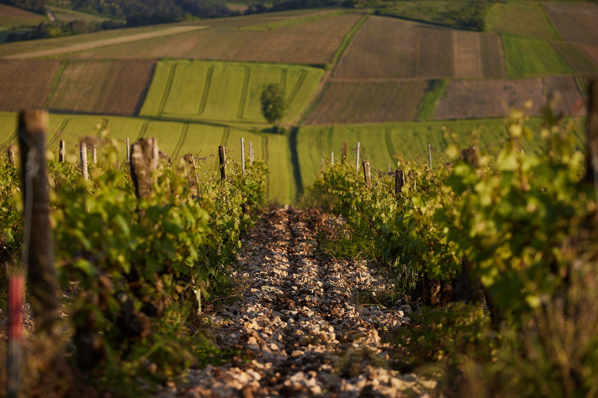 an abstract photo of a curved building with a blue sky in the background