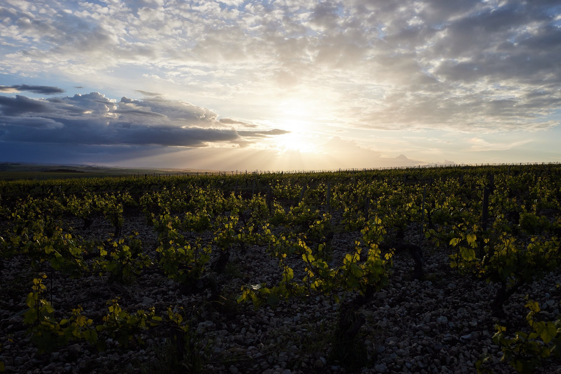 an abstract photo of a curved building with a blue sky in the background