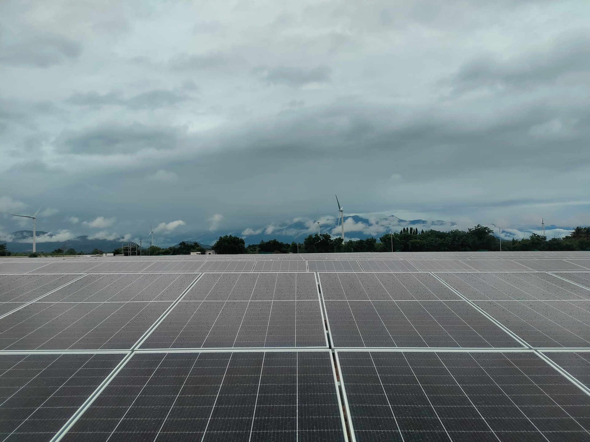 blue solar panels on green grass field under white clouds and blue sky during daytime